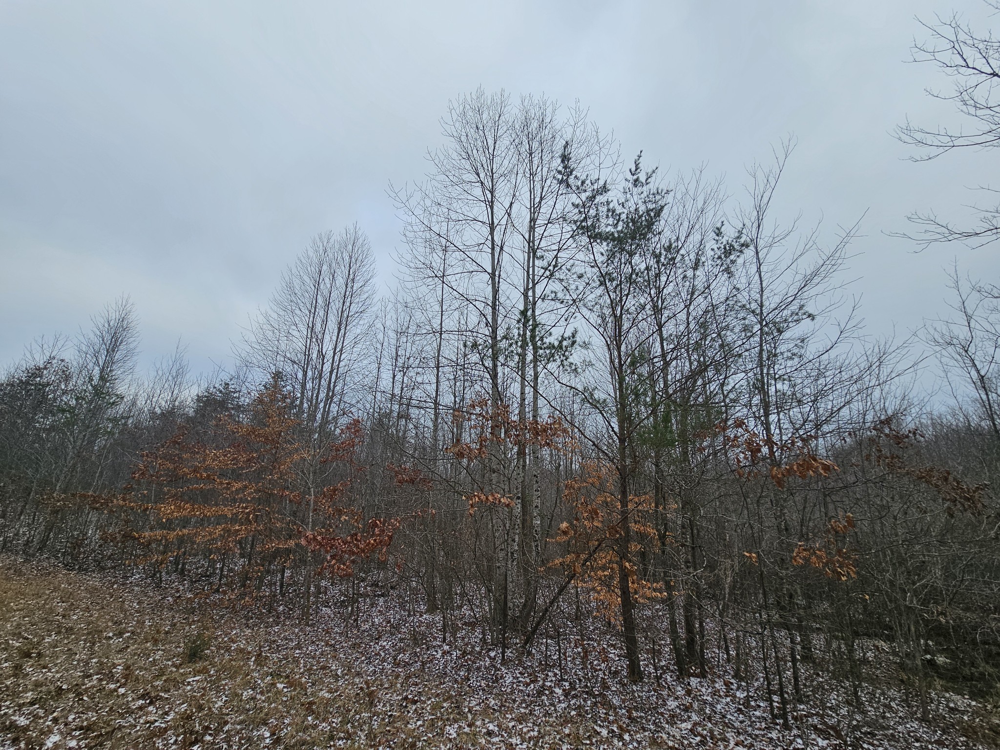 0 Tootley Campbell Rd