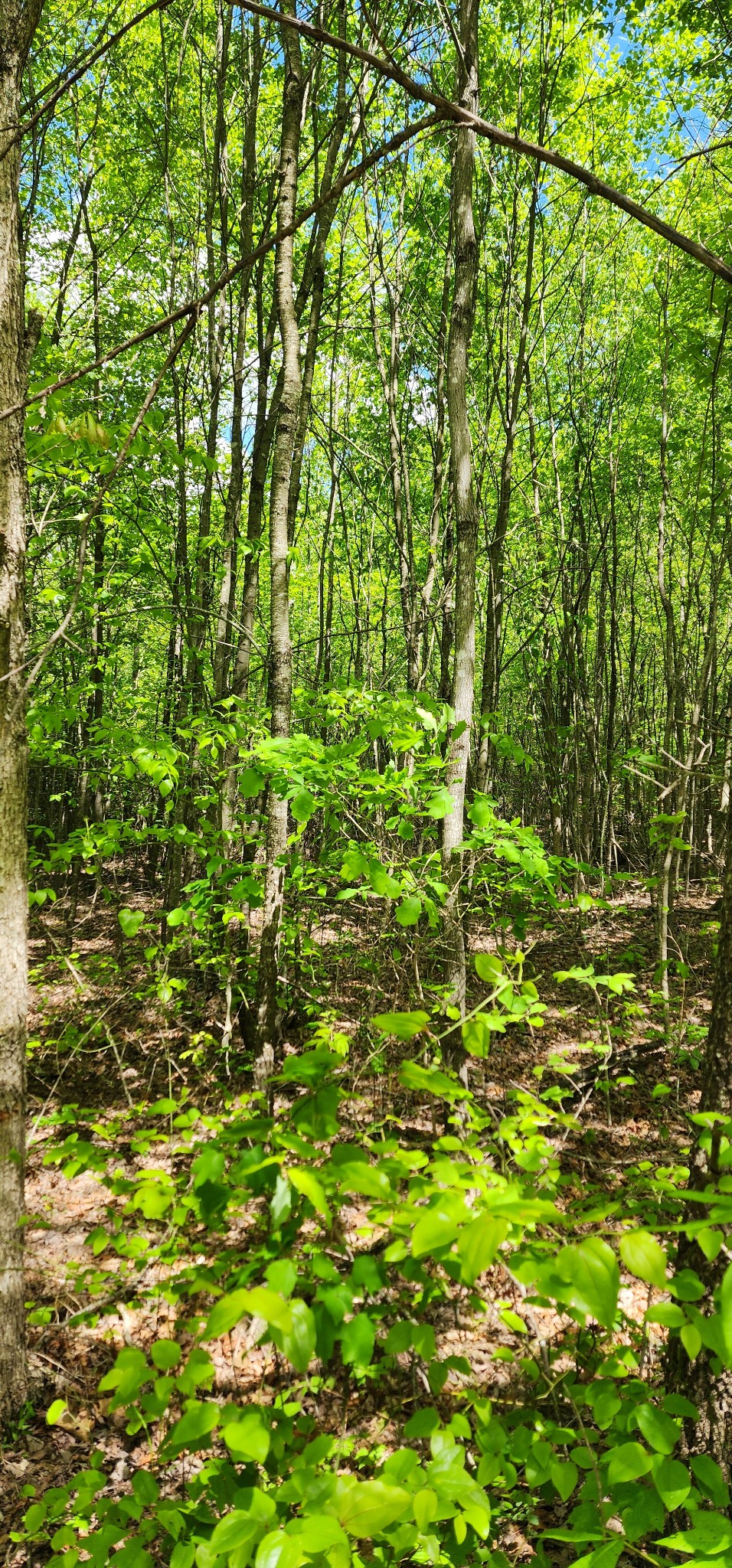 0 Tootley Campbell Rd