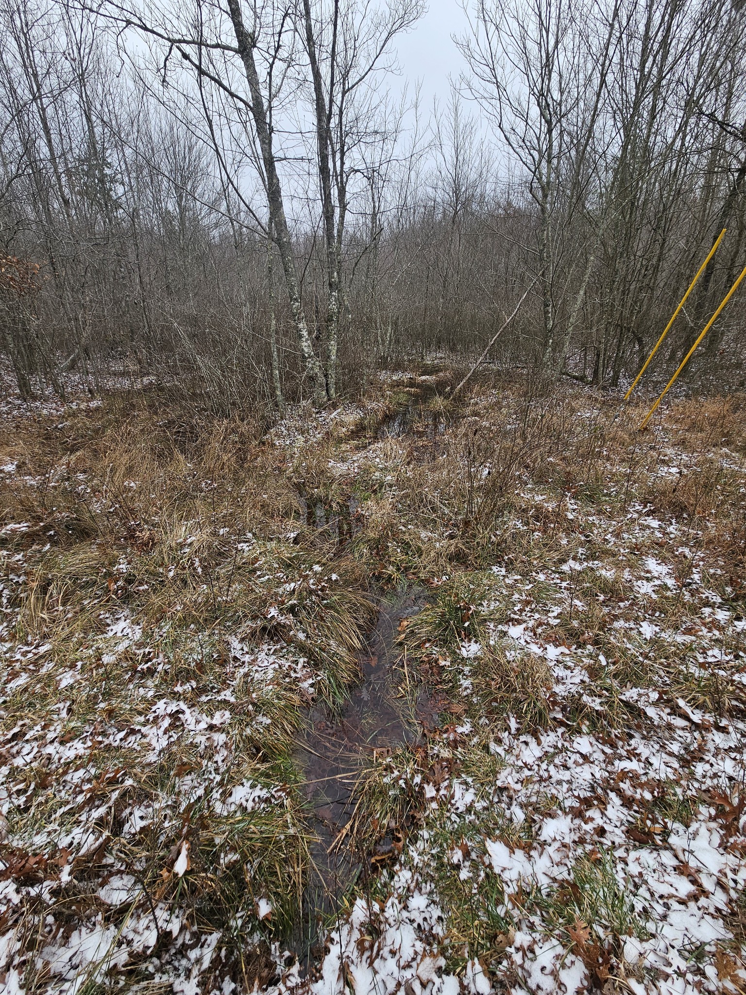 0 Tootley Campbell Rd