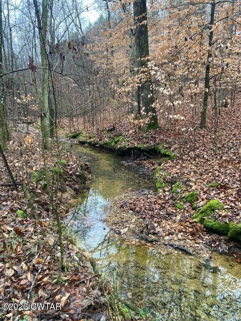 389 Wayne Townsend Ln