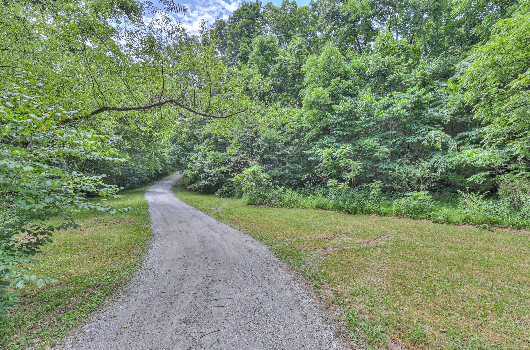569 Hogans Branch Rd