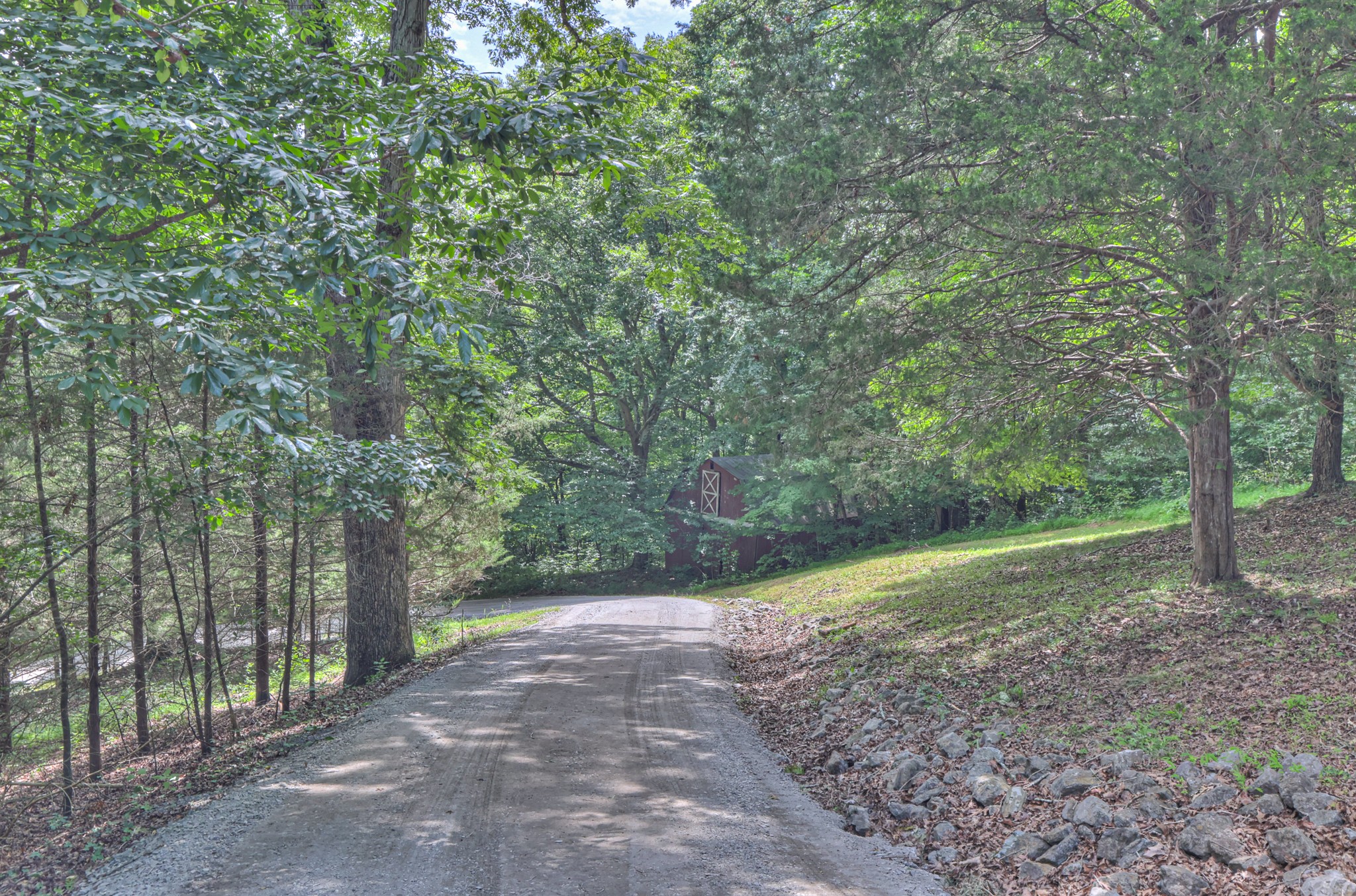 569 Hogans Branch Rd