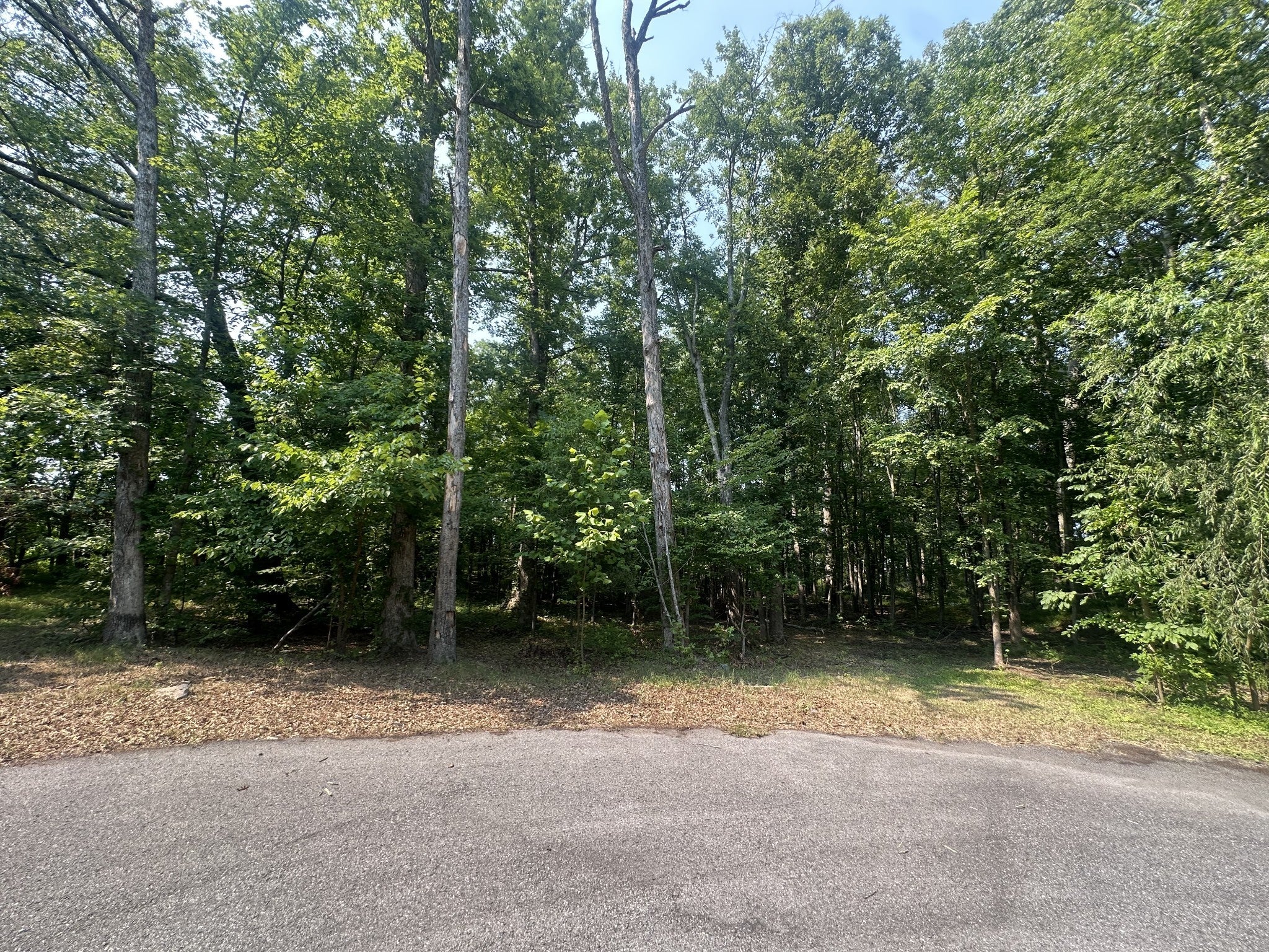 0 S Pinson Dr