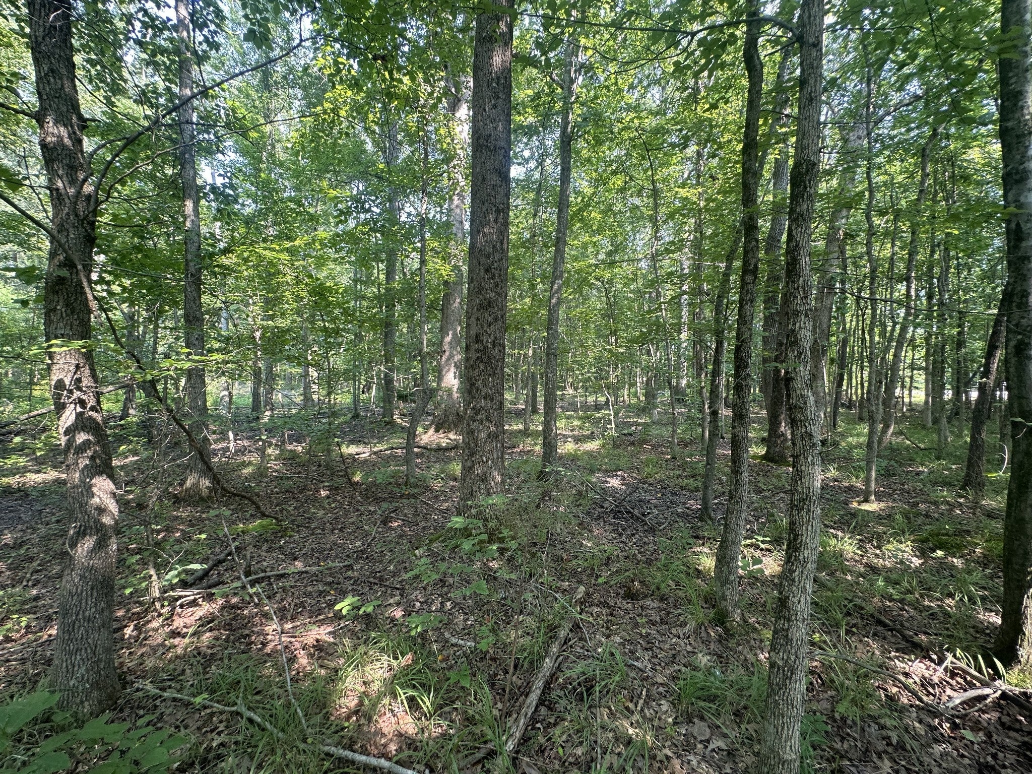 0 S Pinson Dr
