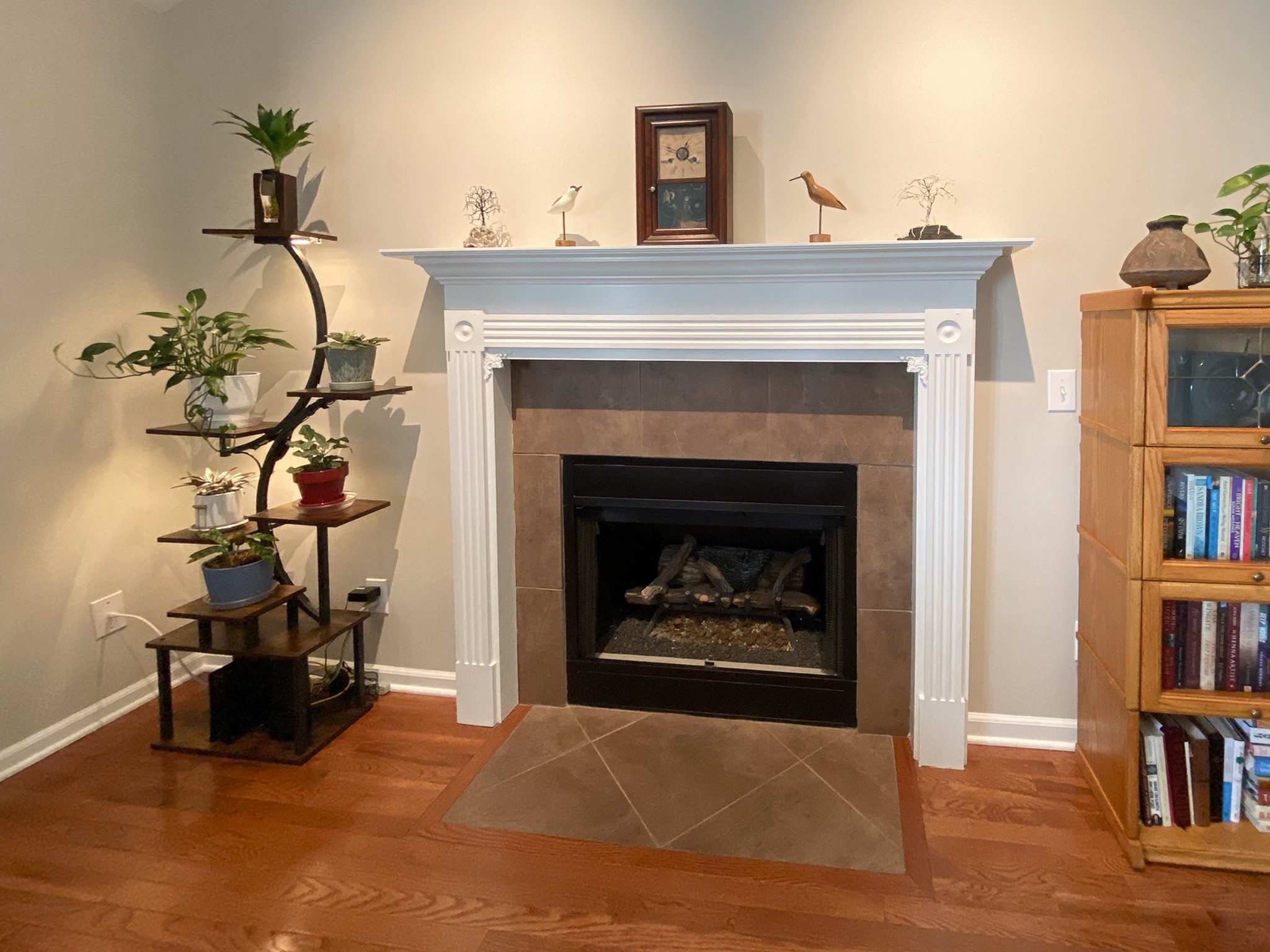 577 Maple Springs Rd