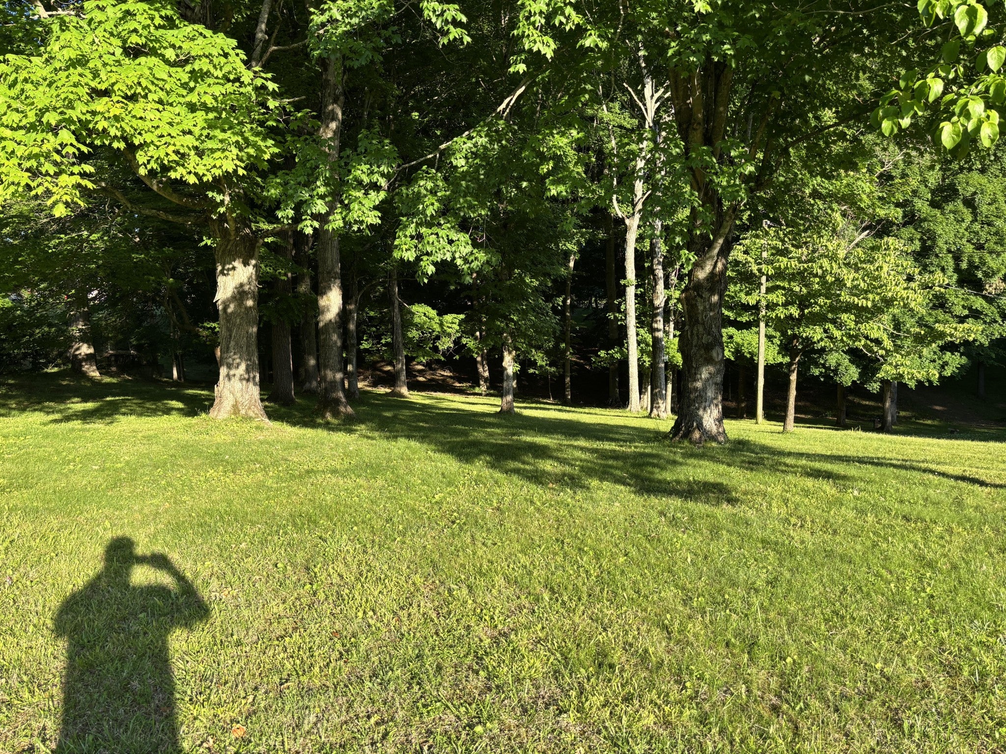 17 Edmondson Ferry Road - Photo 4