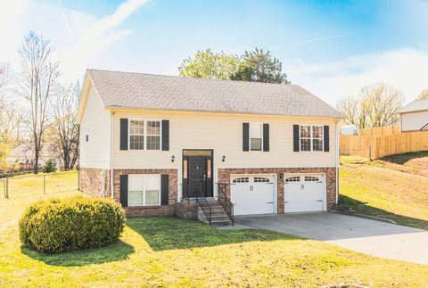 524 Barney Ln Clarksville TN 37042