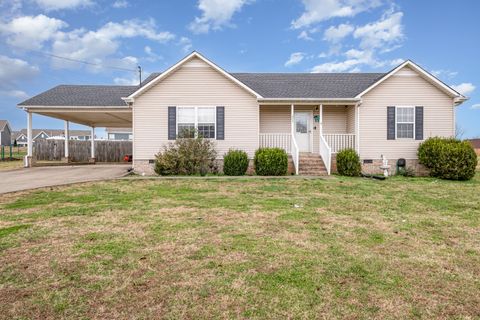 423 Brookside Dr Mount Pleasant TN 38474