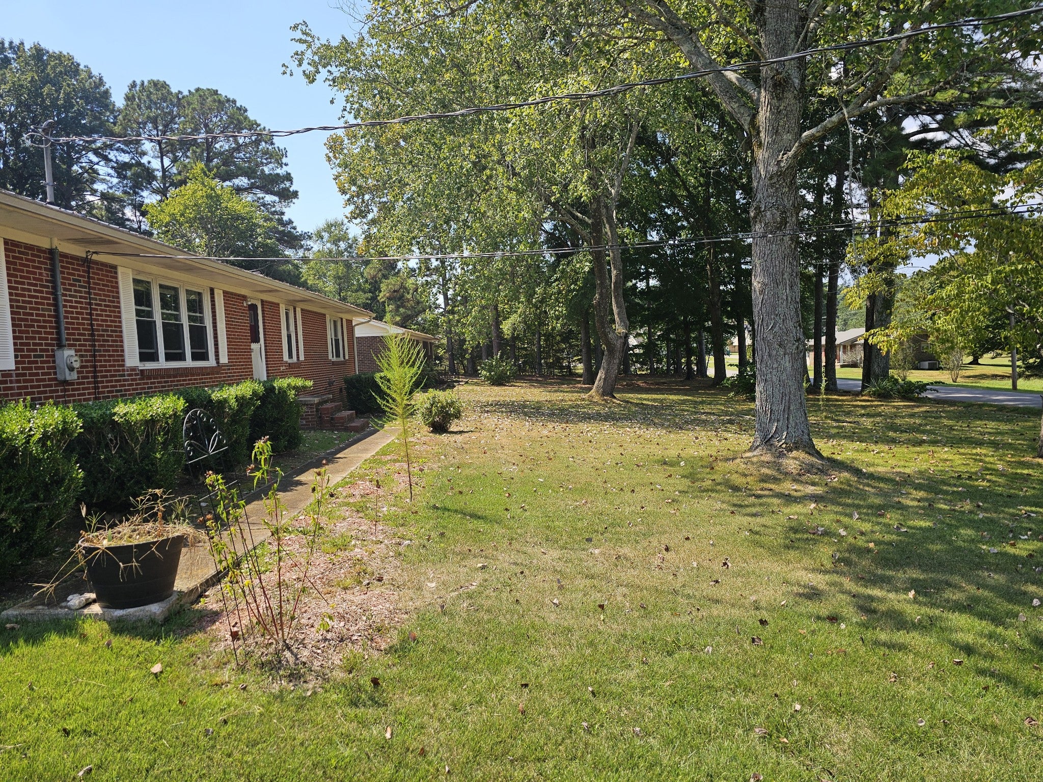 222 Orchard Ln