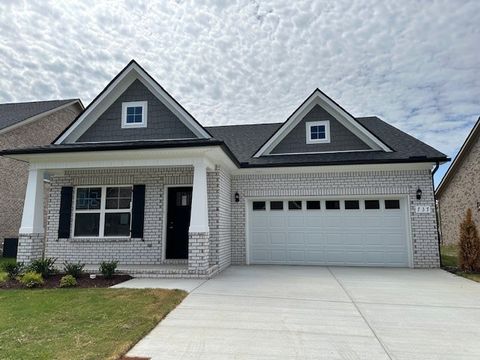Photo of 737 Rex Dr, Spring Hill, TN 37174 (MLS # 3216604)
