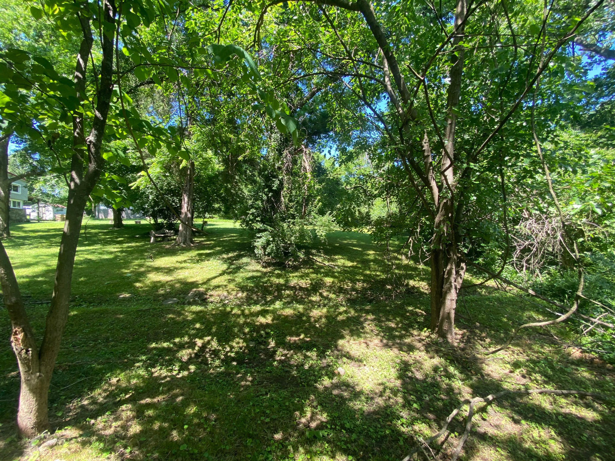 0 Grapevine Avenue