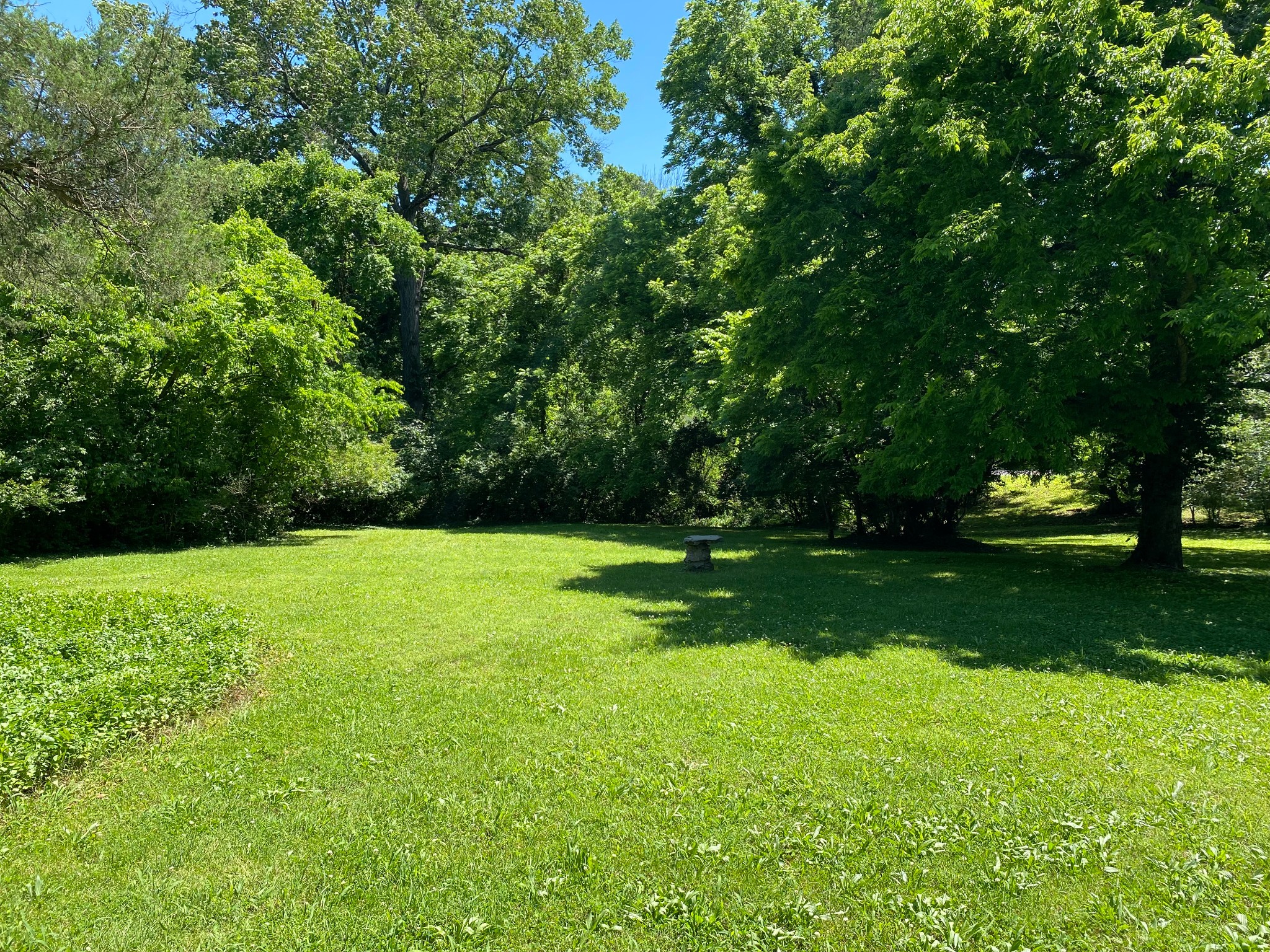 0 Grapevine Avenue