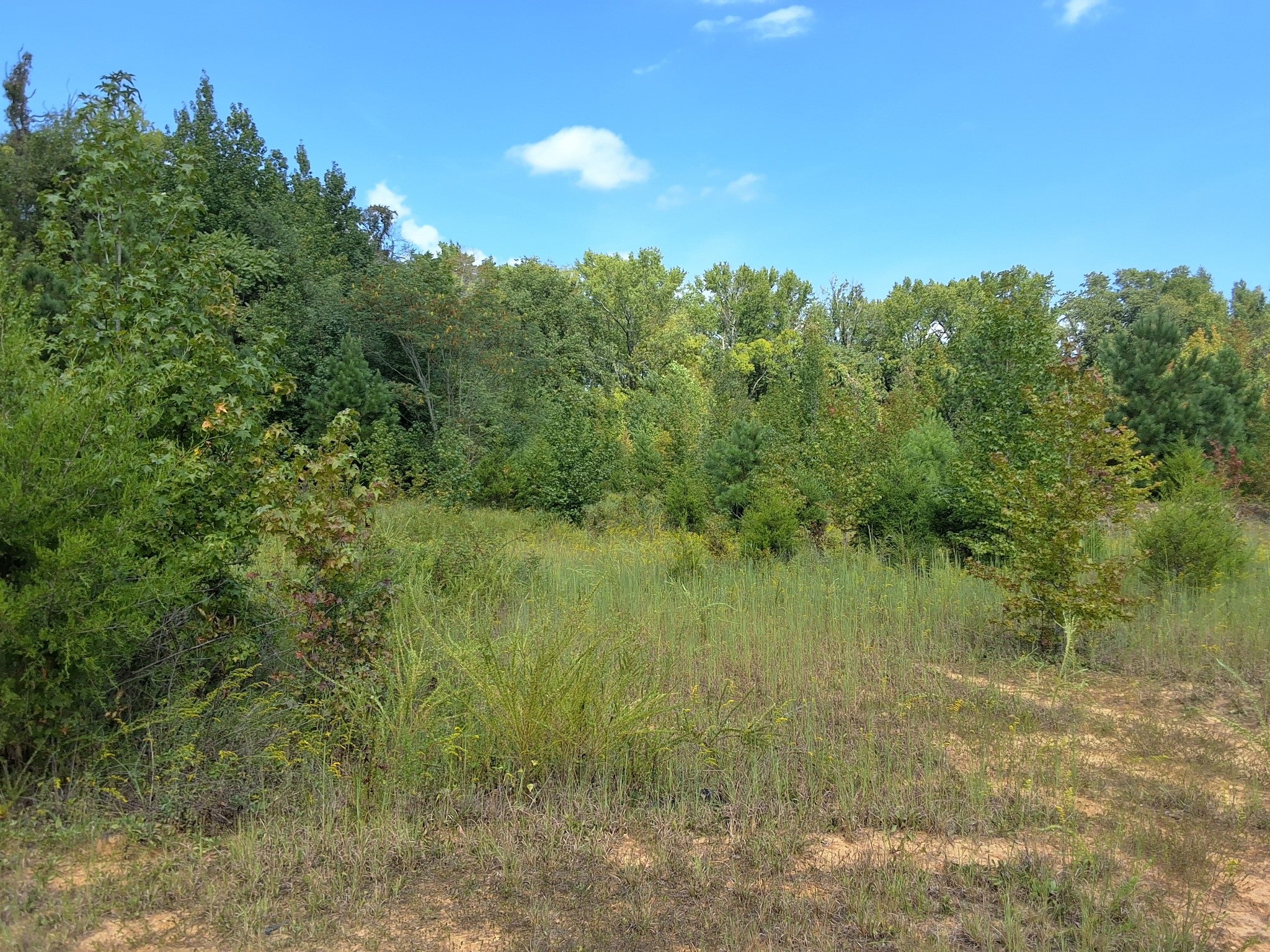 4675 Benders Ferry Rd