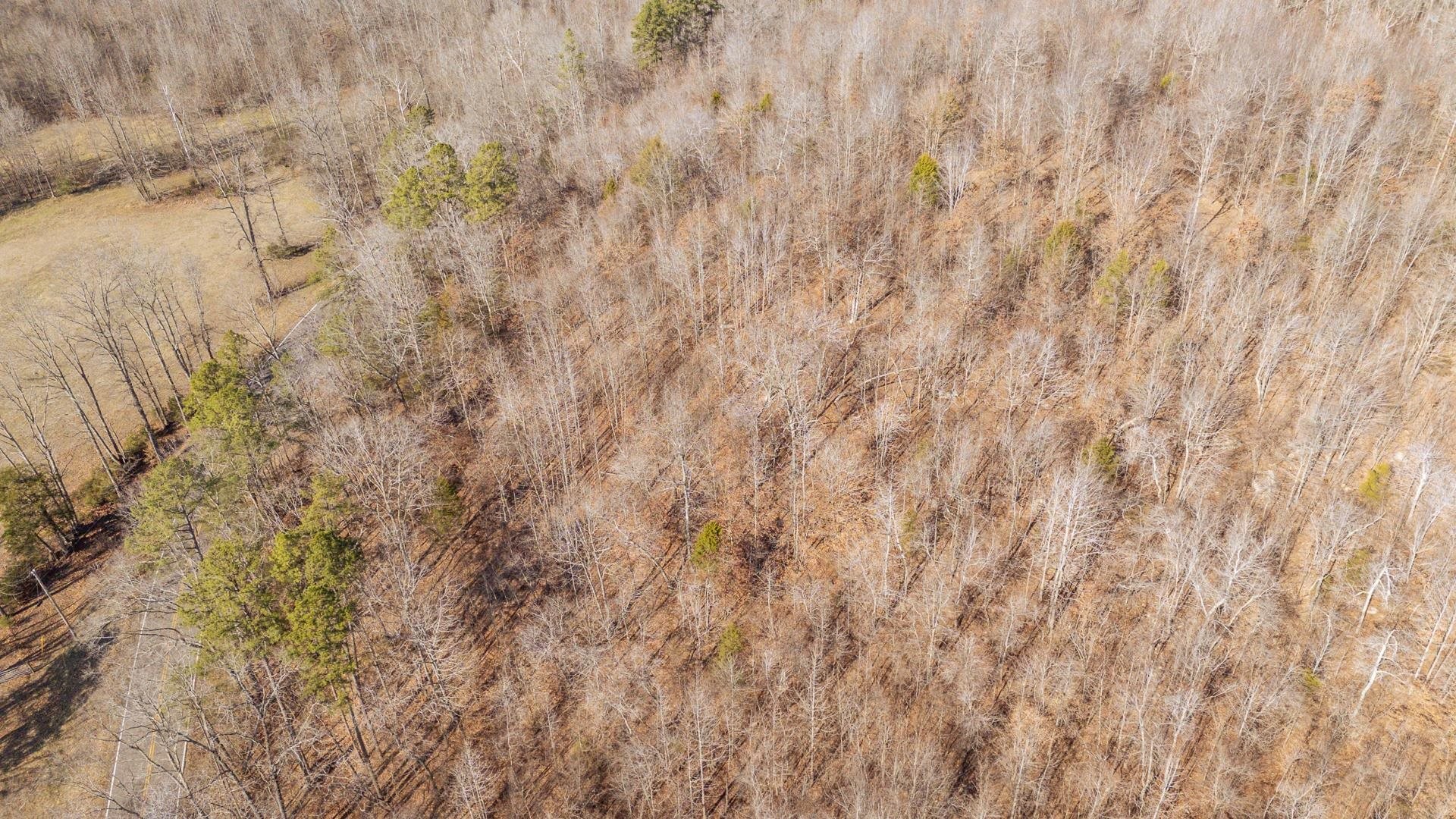 3310 HOLLAND CREEK RD