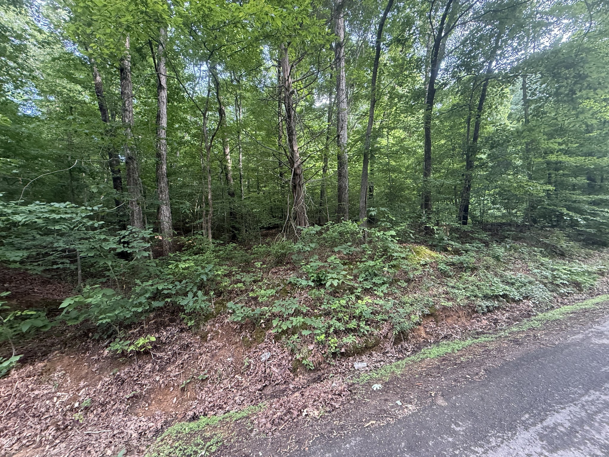 0 Caney Branch Rd