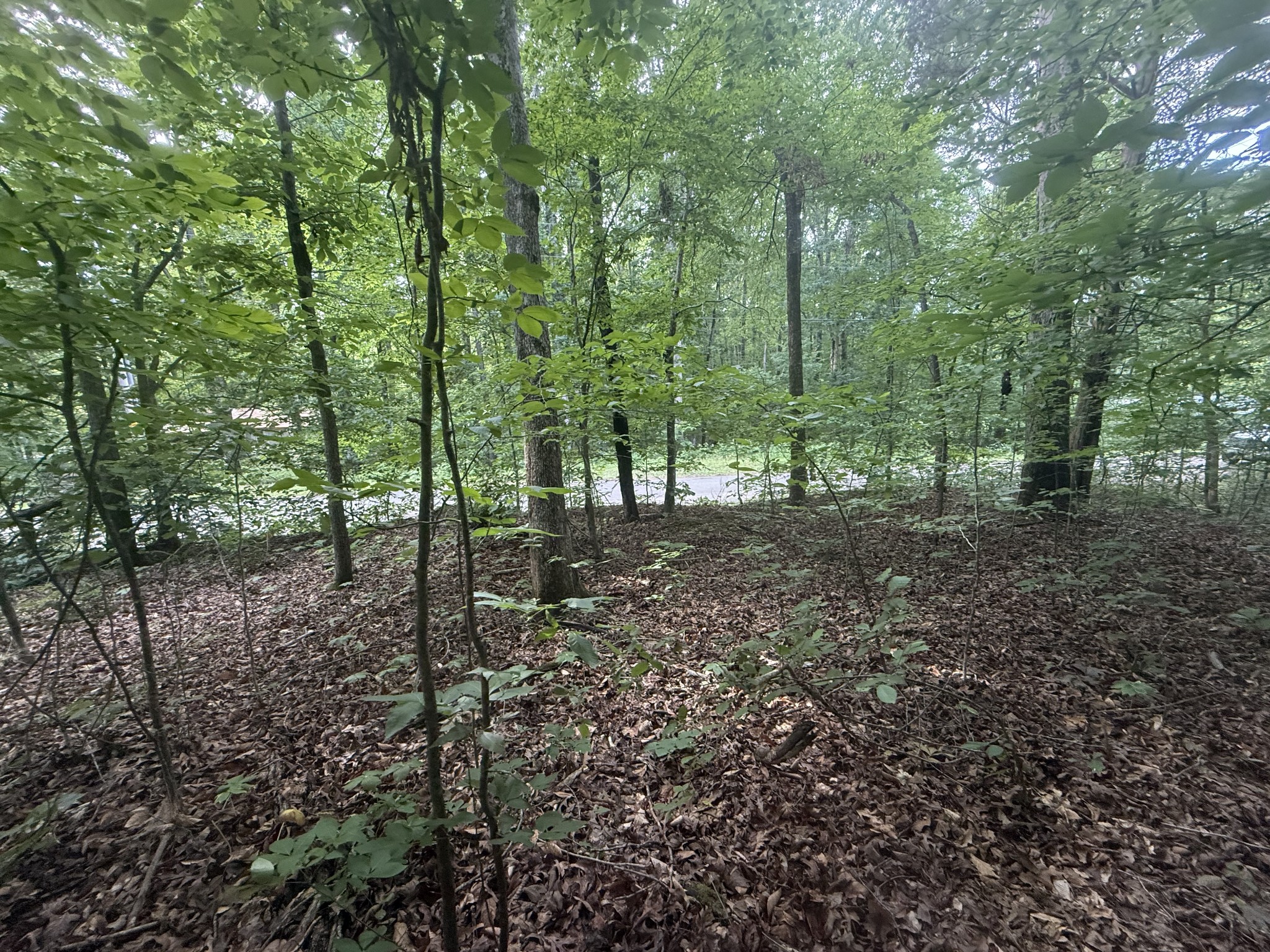 0 Caney Branch Rd