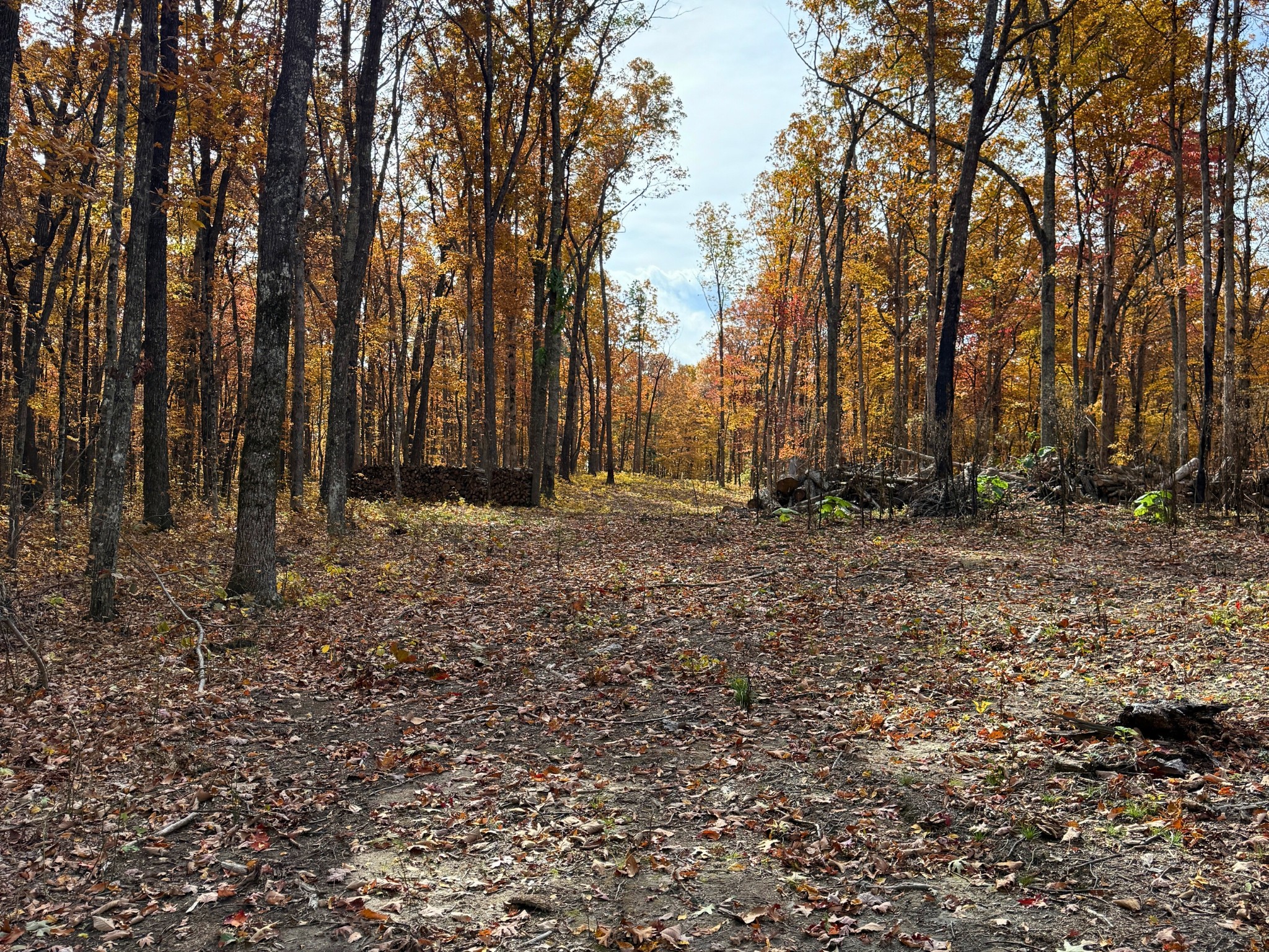 540 Cumberland Cove Rd