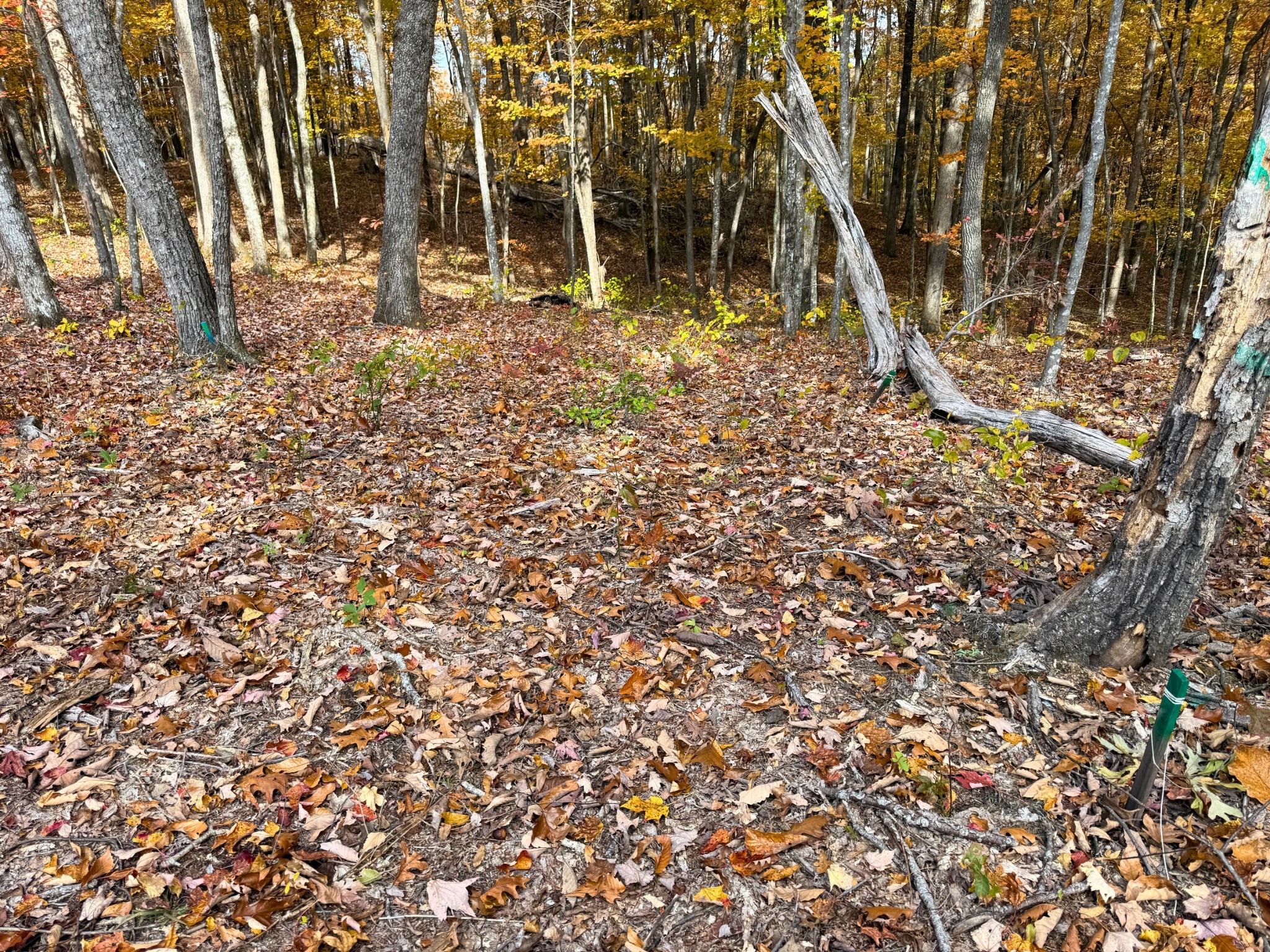 540 Cumberland Cove Rd