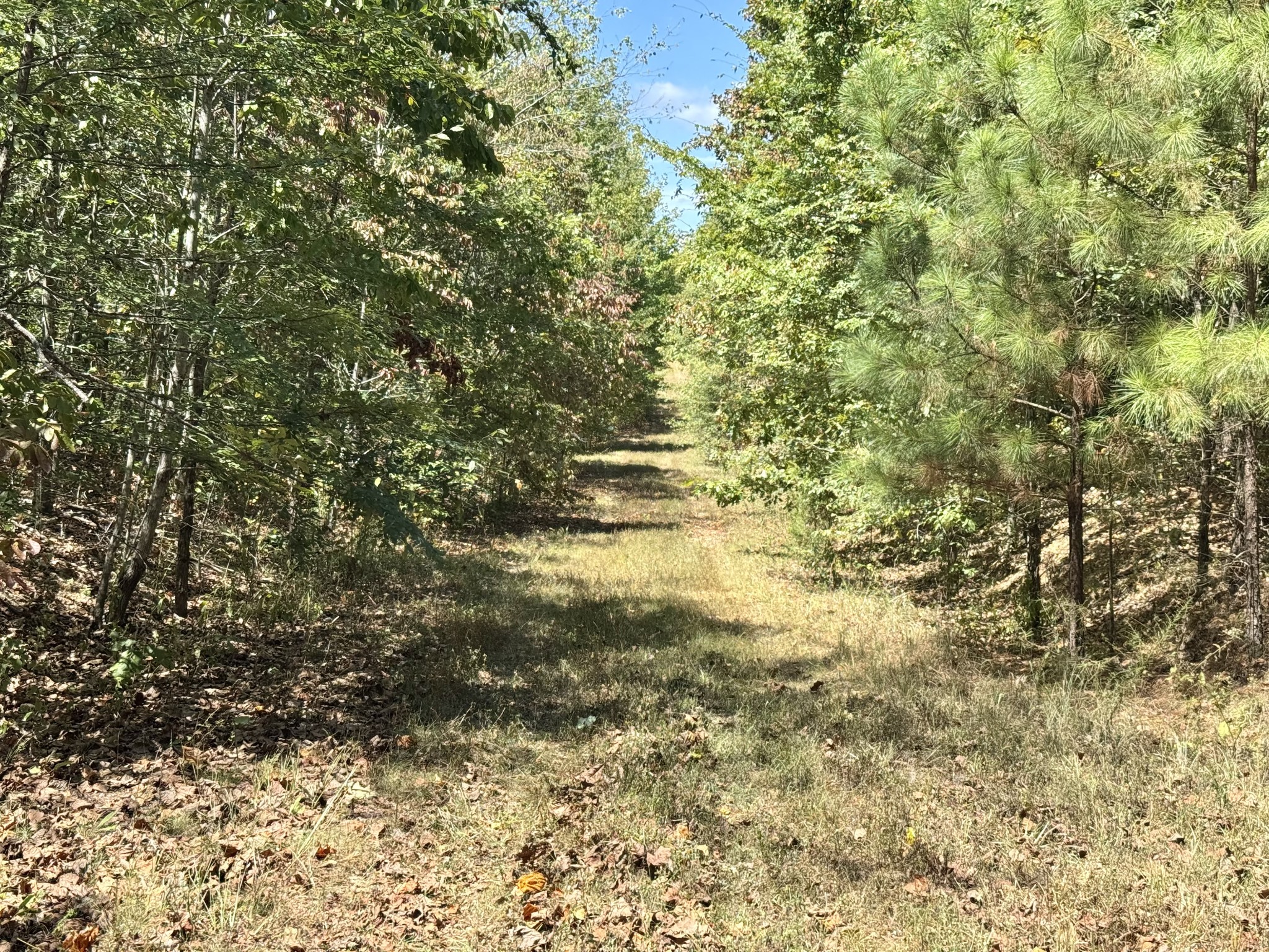 0 Richland Ridge Rd
