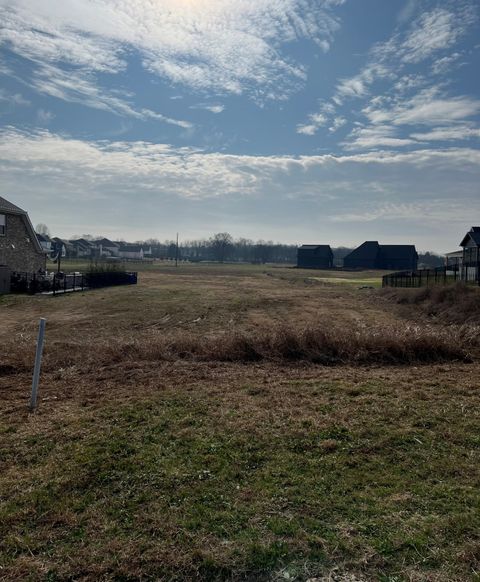 5415 Constantine Dr Rockvale TN 37153