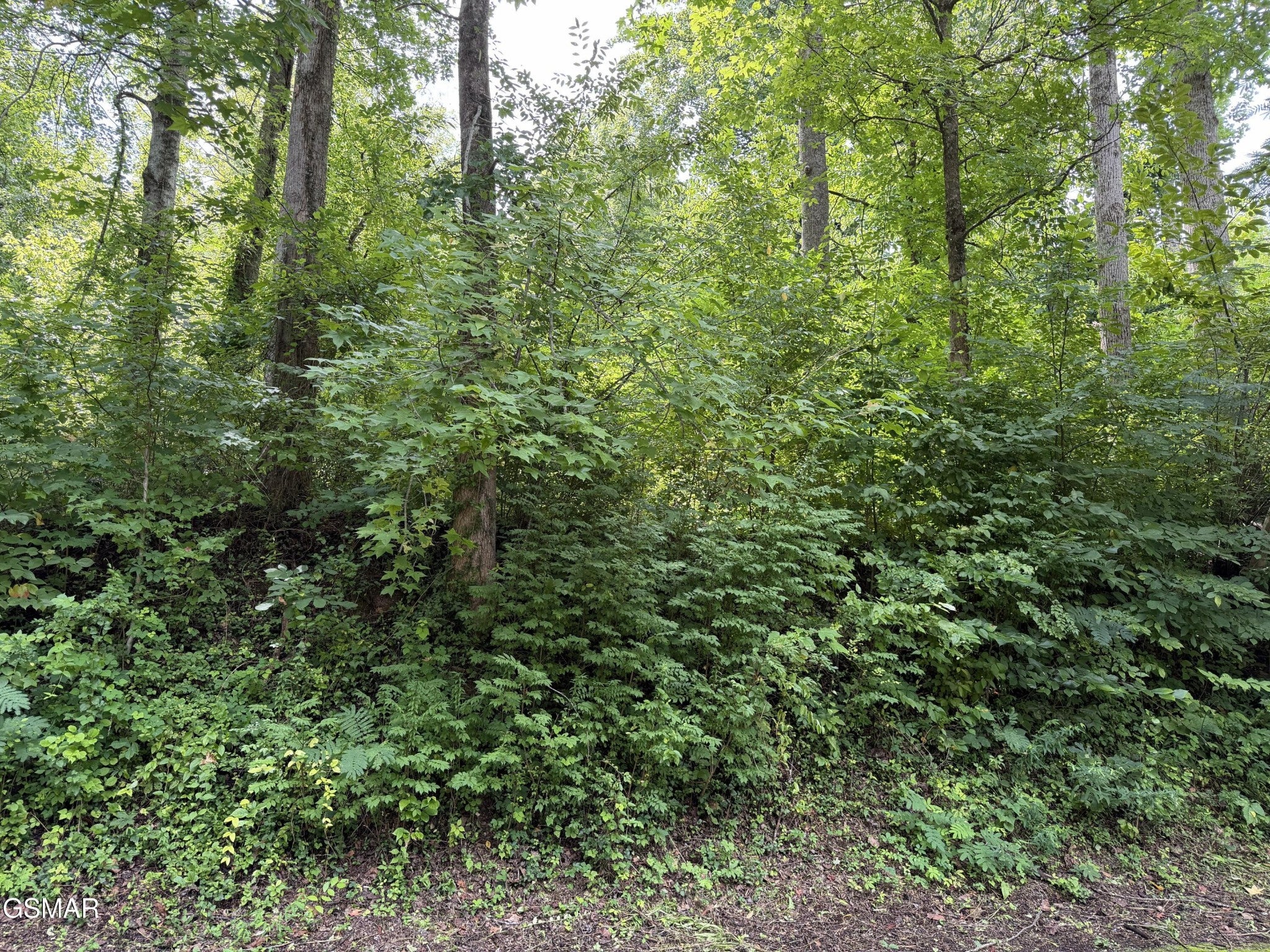 315 Hilltop Road