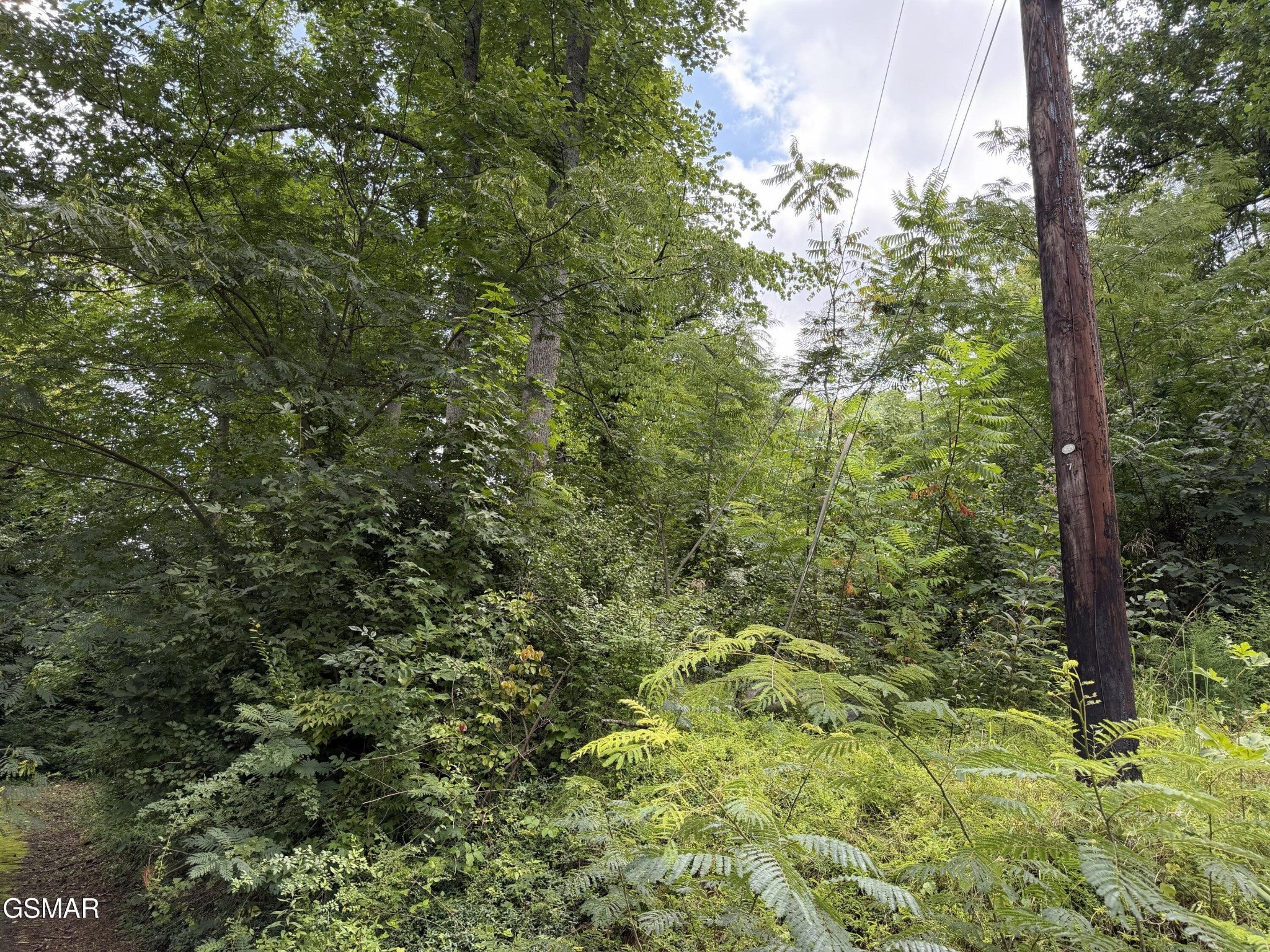 315 Hilltop Road