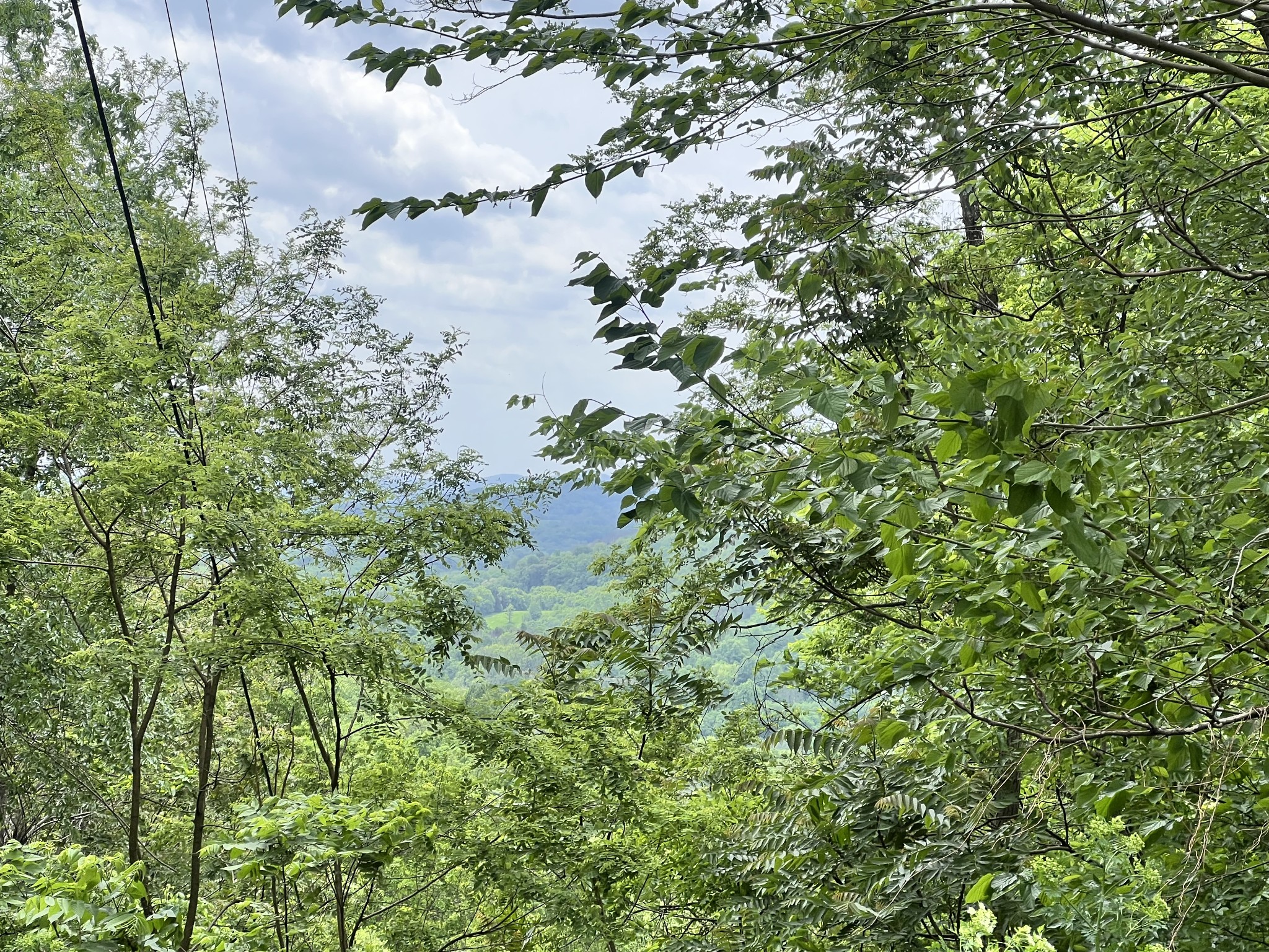 1480 Gravel Hill Rd