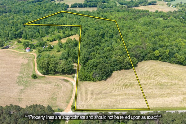 MANN RD, HOLLOW ROCK, TN 38342 - Image e162ec0d878fed5bfbf17df4a46ea92d/2001965552