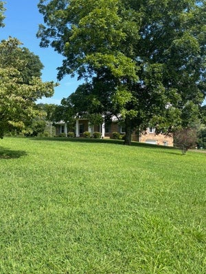 4801 BEECH HILL RD, PULASKI, TN 38478 - Image e16707e9fc564ea8898685cfcdff0b05/989732311