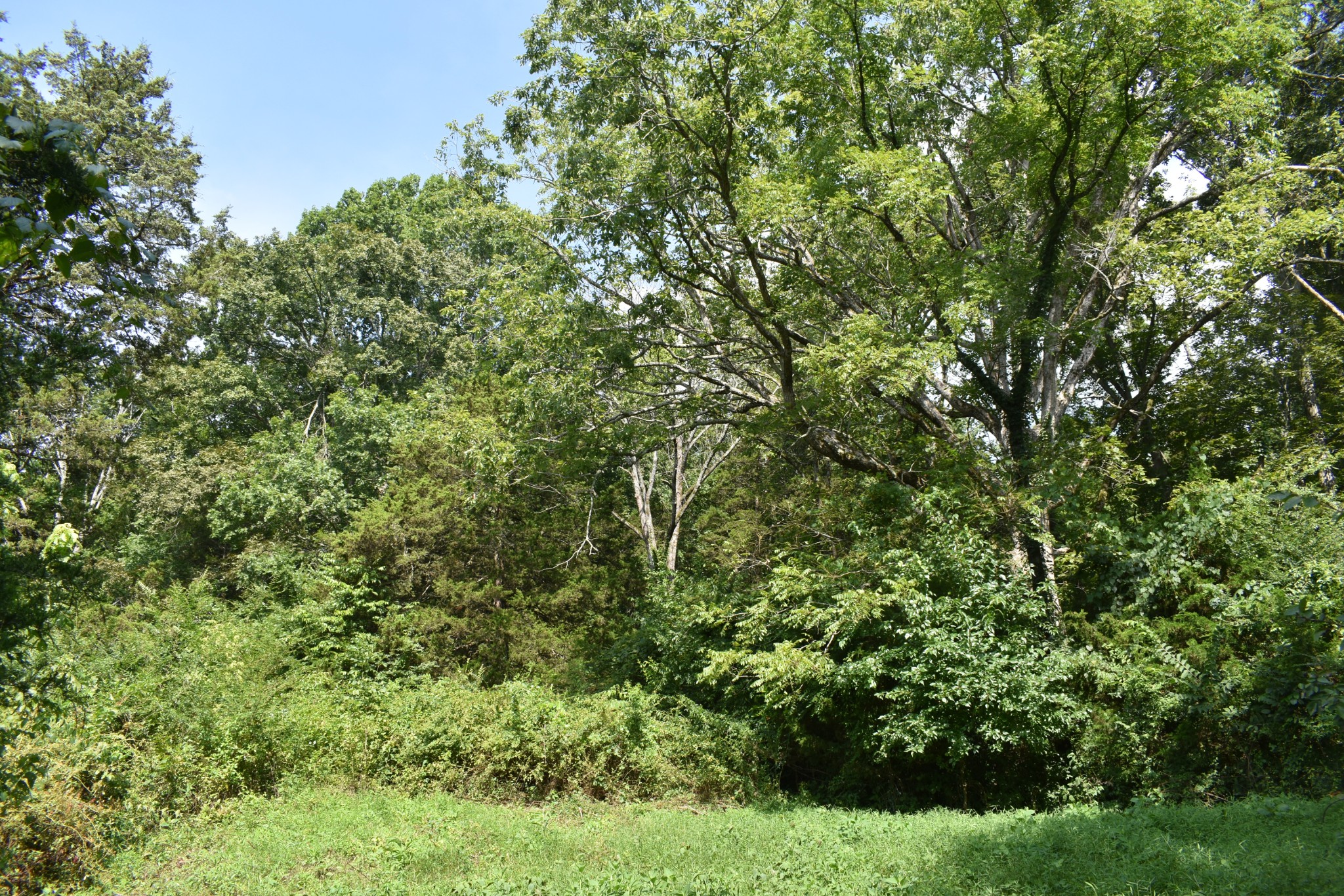 0 Hogans Creek Rd