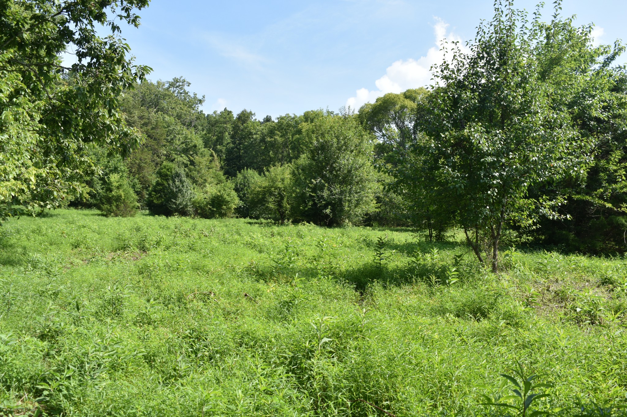 0 Hogans Creek Rd