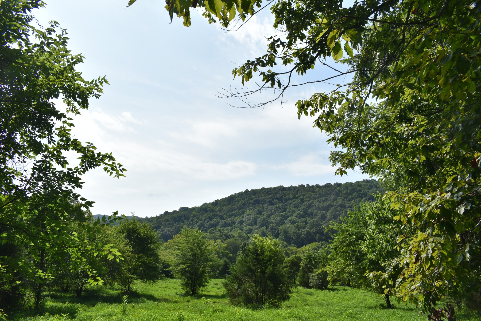 0 Hogans Creek Rd