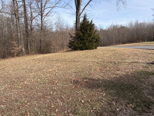 HUNTERS LANDING DR, MANCHESTER, TN 37355 - Image e17b9cd7a93fdcf2fba5a066f3f48349/1662335672