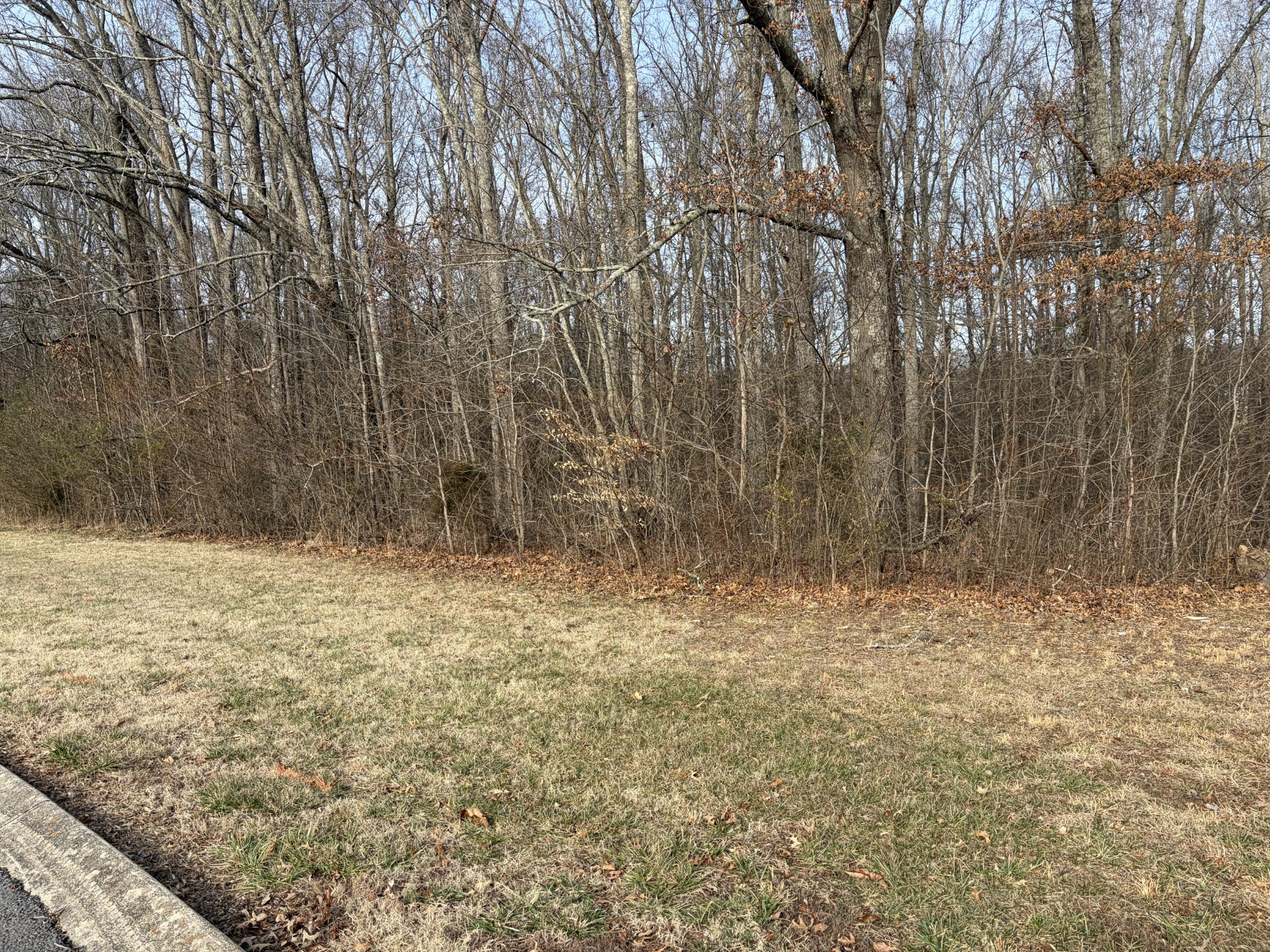 0 Hunters Landing Drive