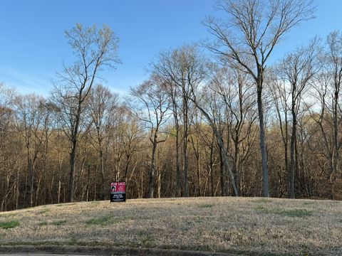 156 Enclave At The Villa Clarksville TN 37043