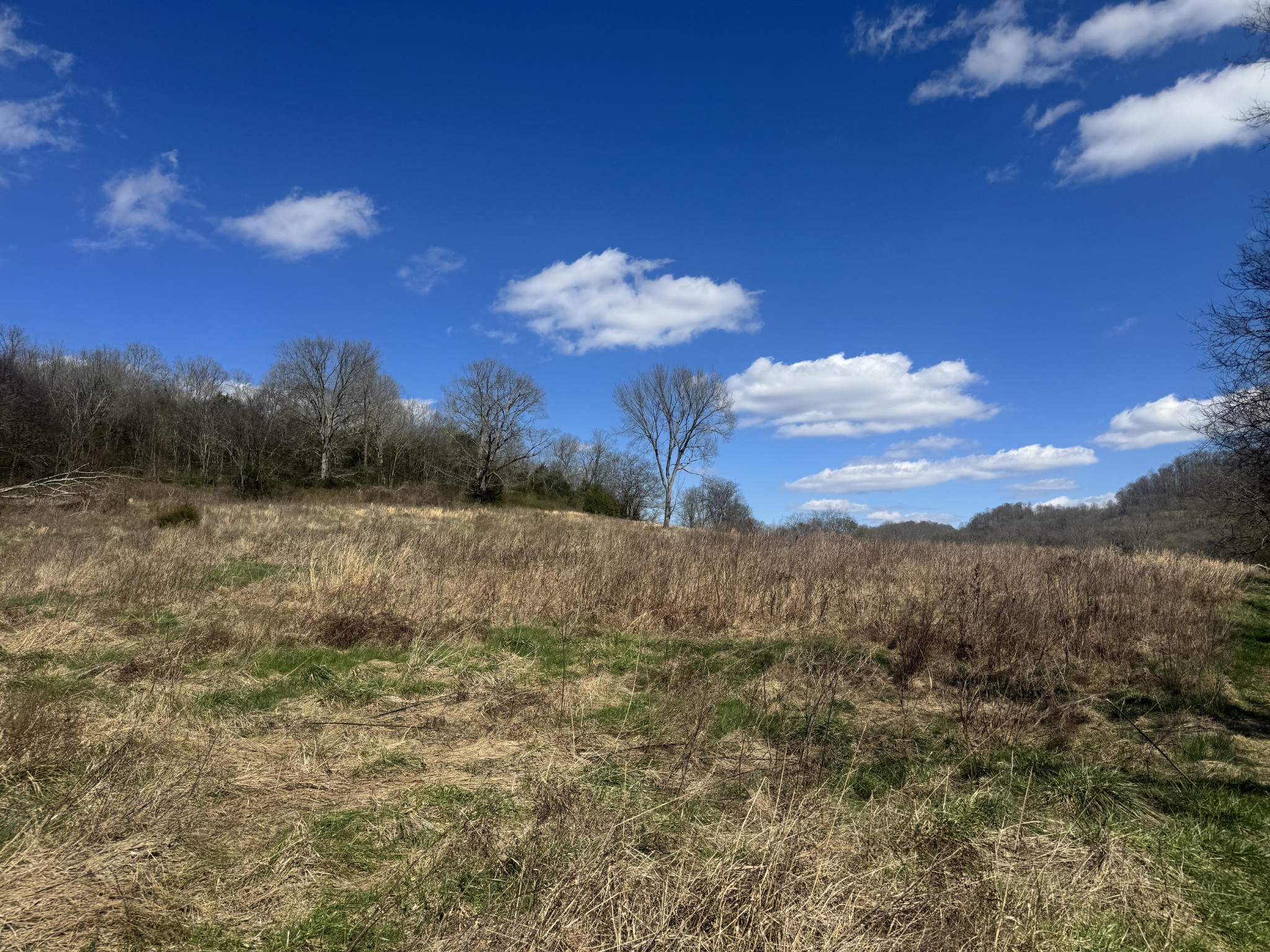 0 Salt Lick Creek Rd