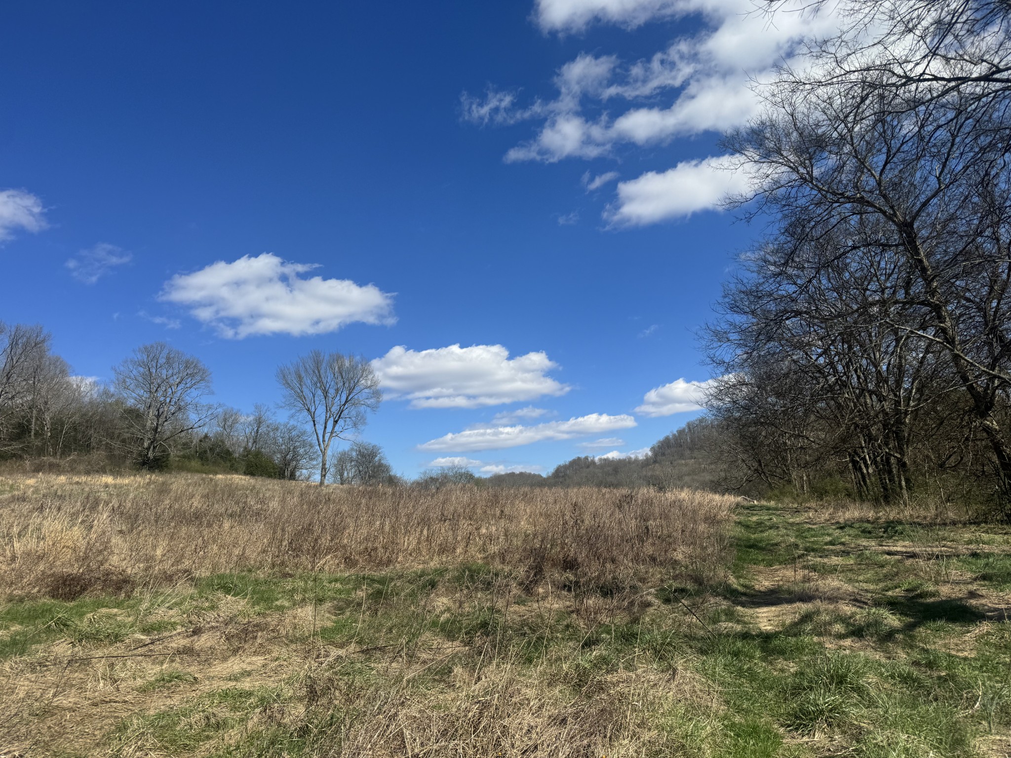 0 Salt Lick Creek Rd