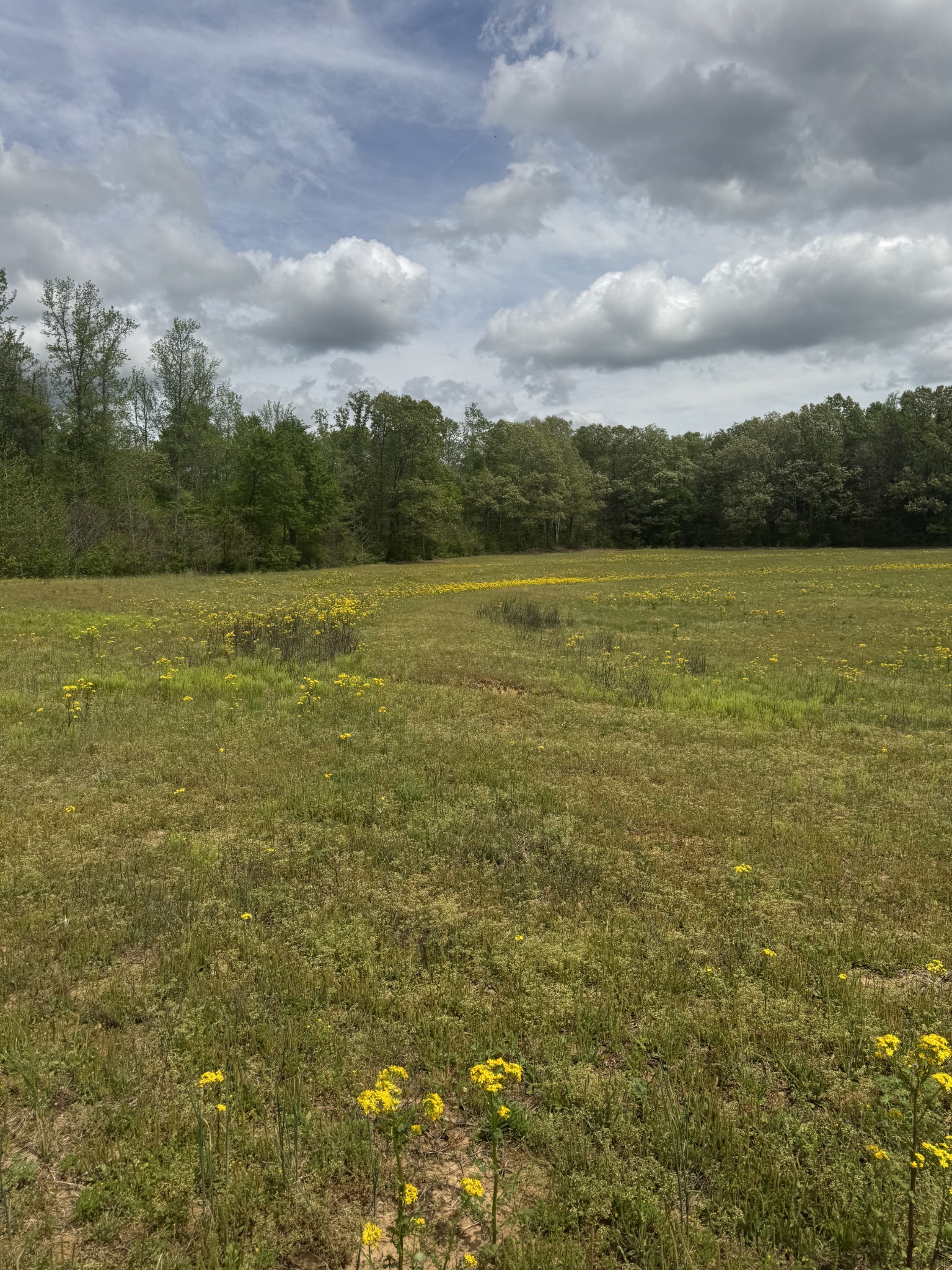 0 Birdwell Cemetery Rd