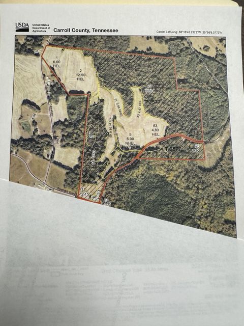 0 Birdwell Cemetery Rd Buena Vista TN 38318