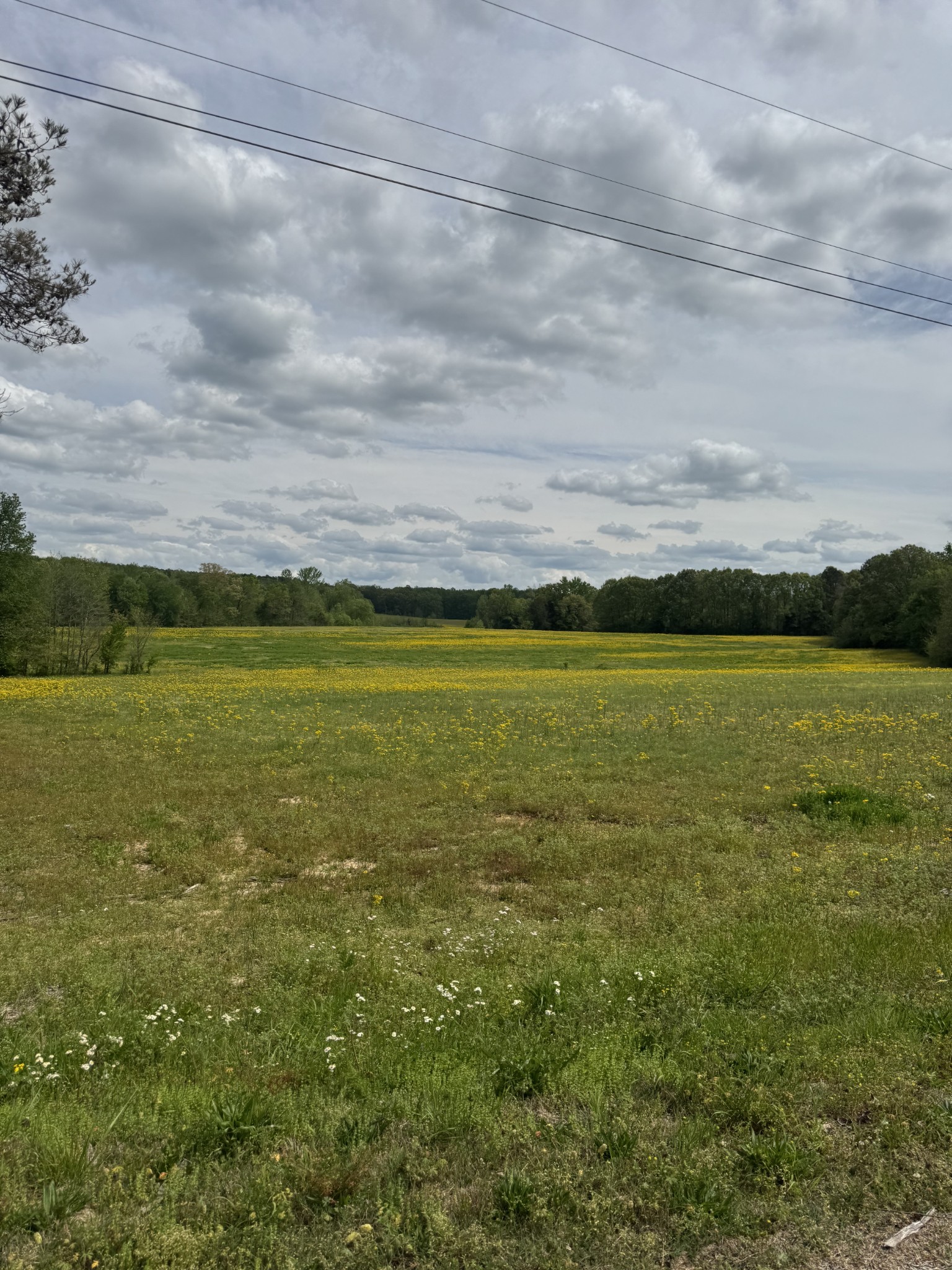 0 Birdwell Cemetery Rd