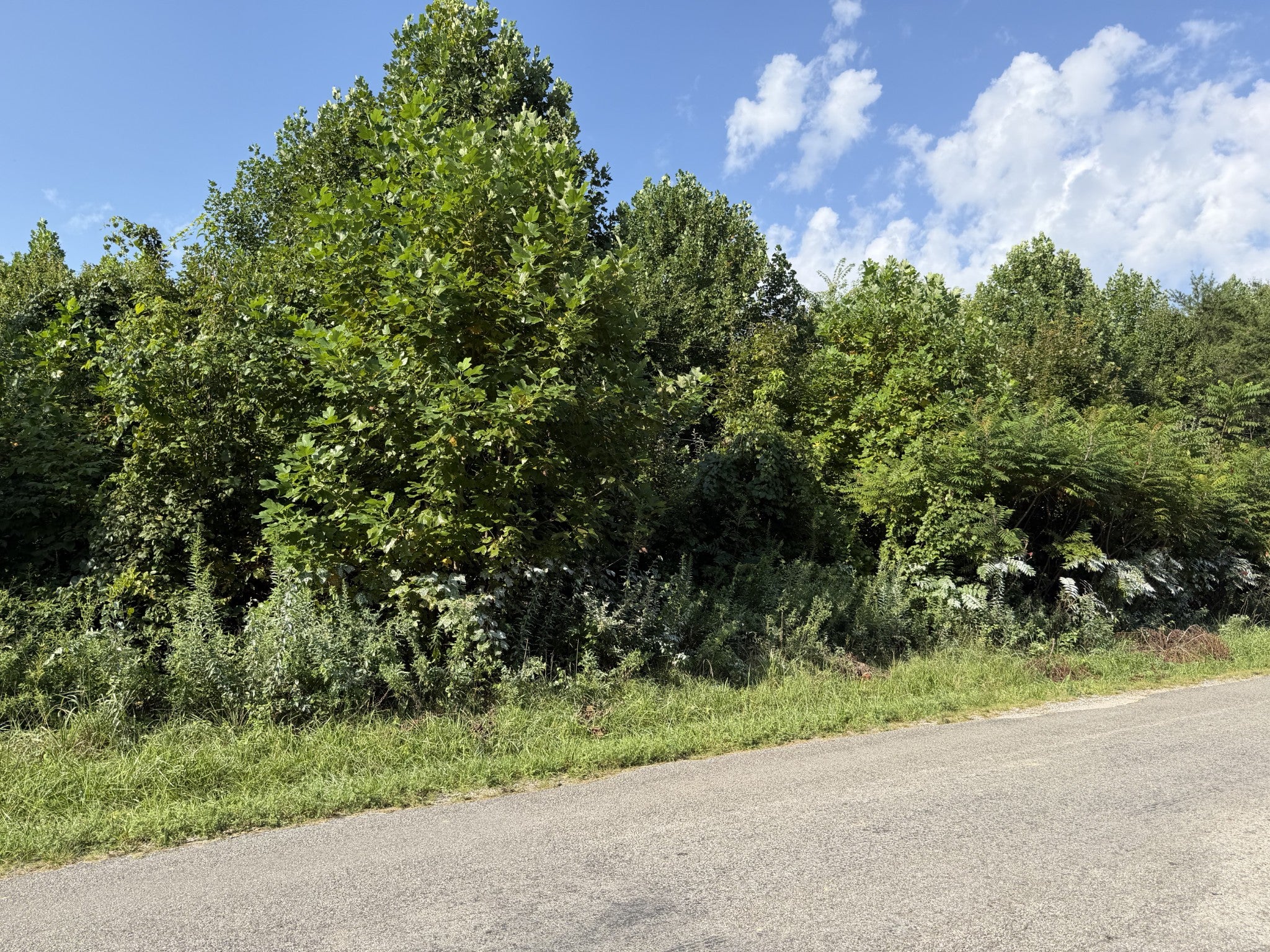 2603 Northcutts Cove Road
