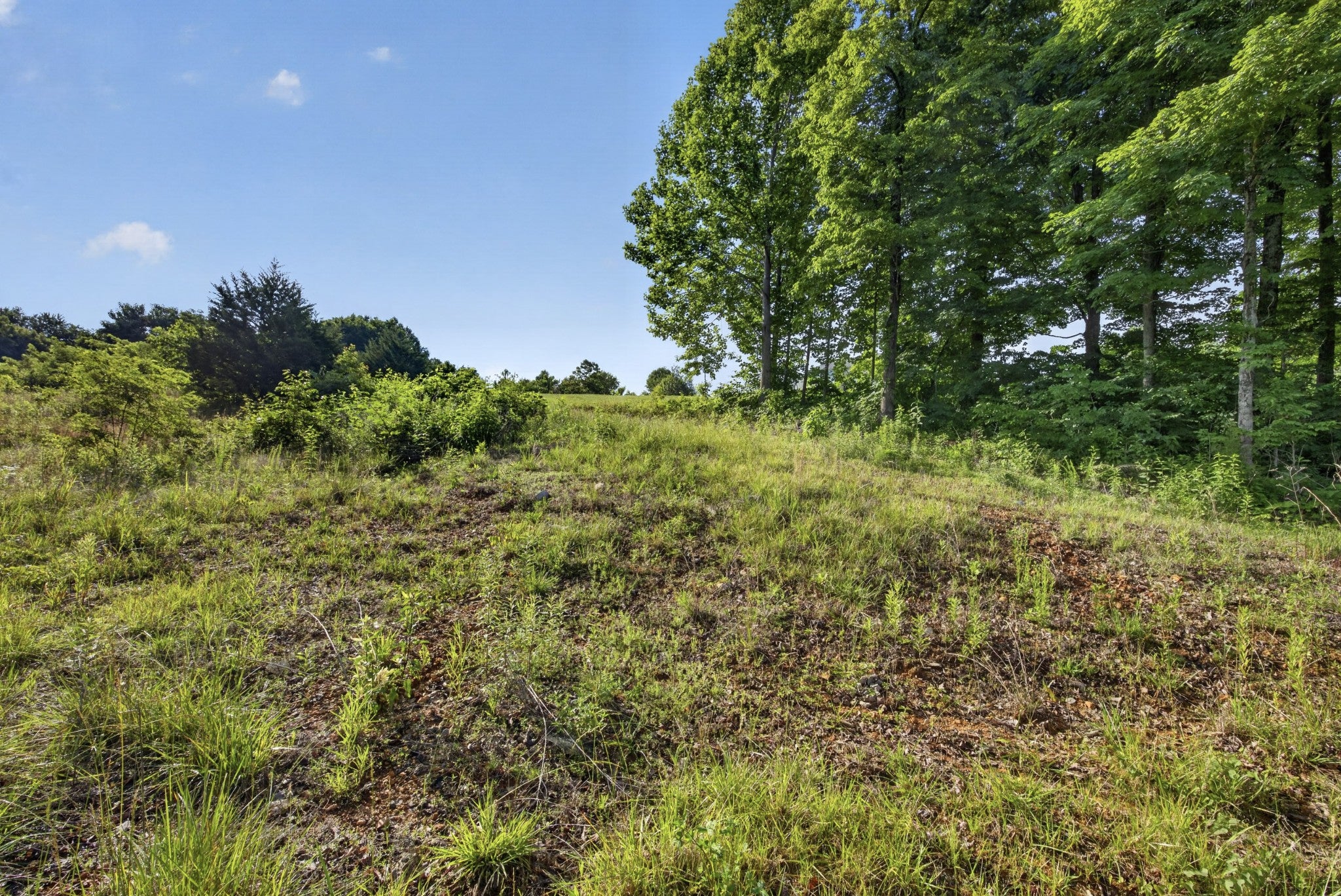 0 Hidden Cove Lane