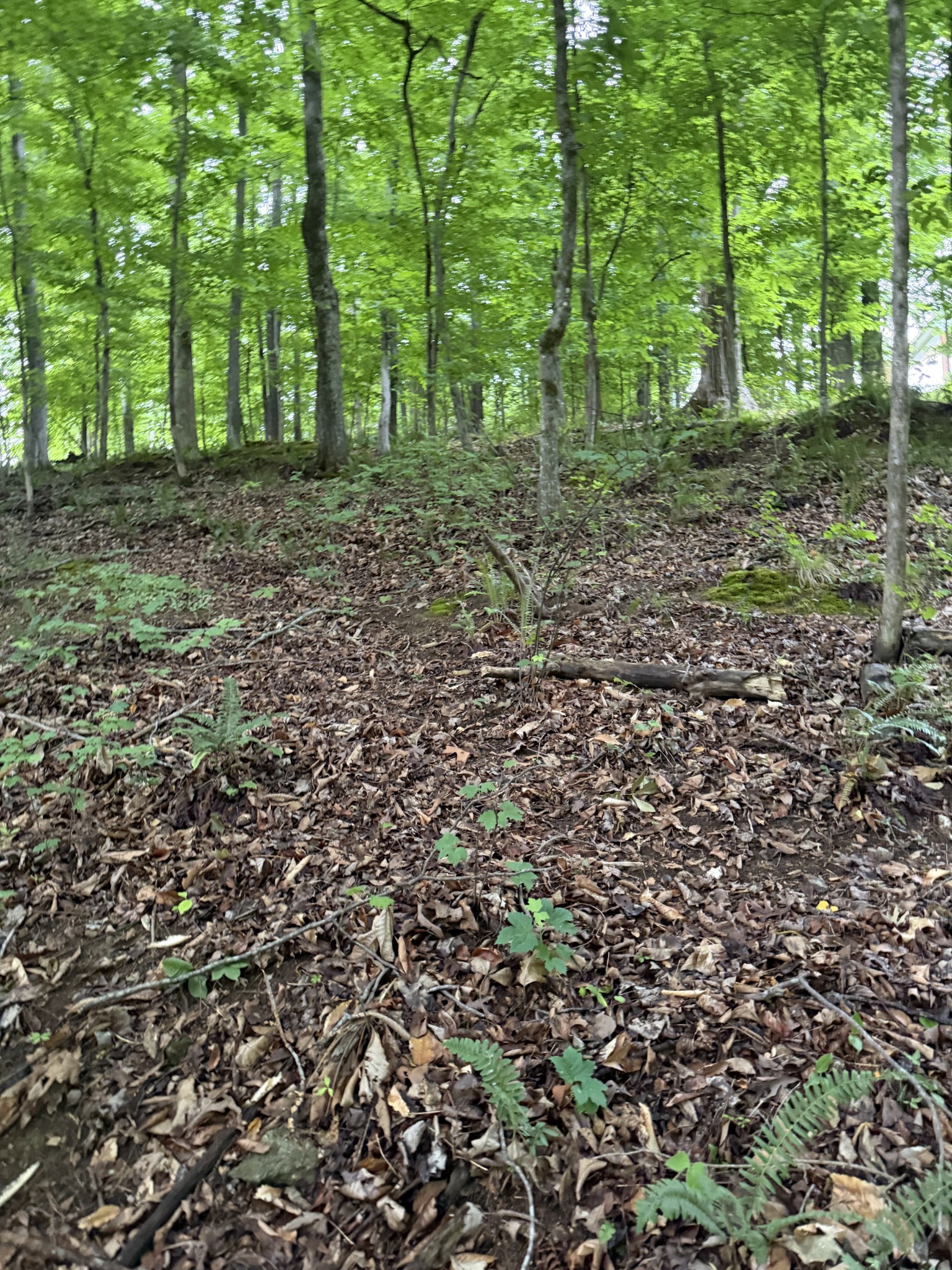 0 Dry Creek Lane