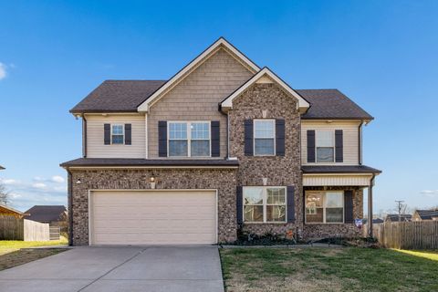 2906 Dusenburg Dr Christiana TN 37037