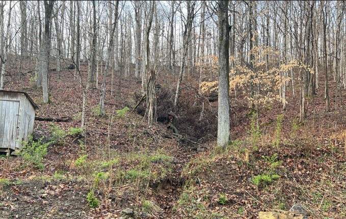 3678 Bear Hollow Rd