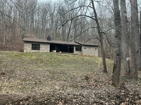 3678 Bear Hollow Rd Whites Creek TN 37189