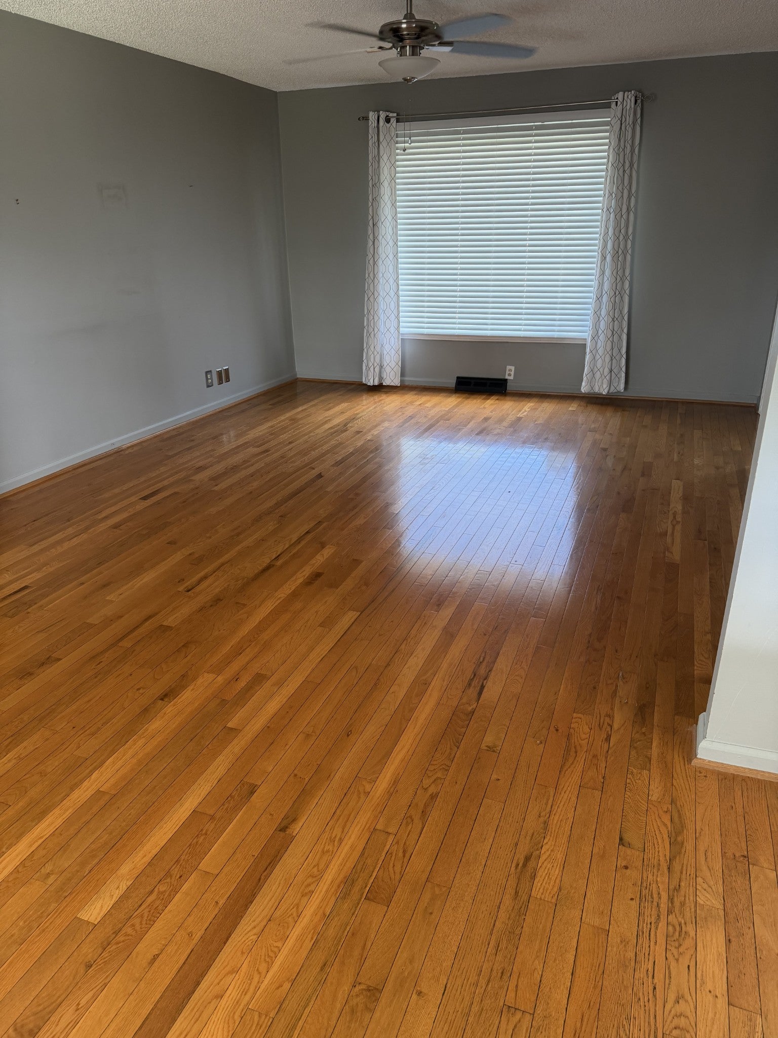 Living room with wood floors, a ceiling fan and a window with white curtains and blinds