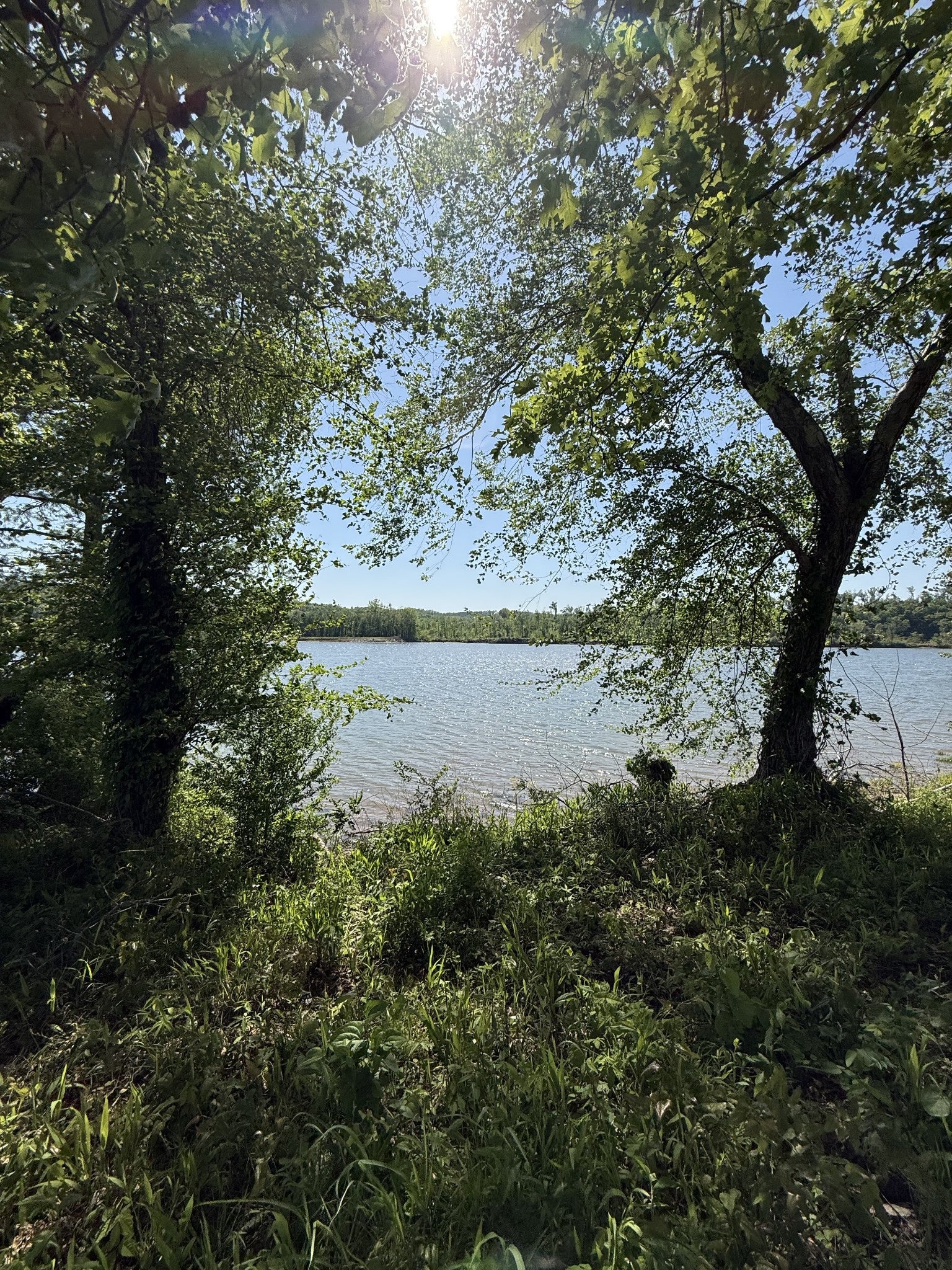461 Hardin Bottom Rd