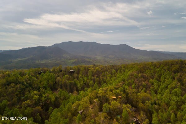 2415 N School House Gap Rd