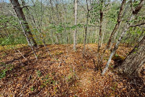 0 Holiday Haven Dr Smithville TN 37166